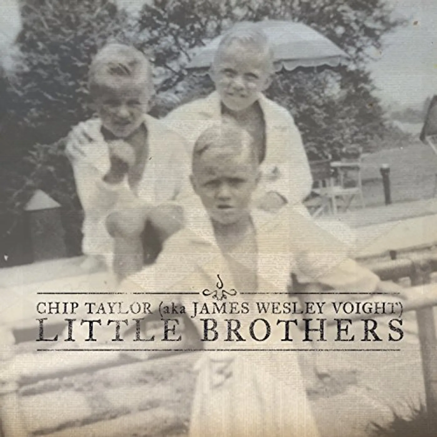 Chip Taylor LITTLE BROTHERS CD