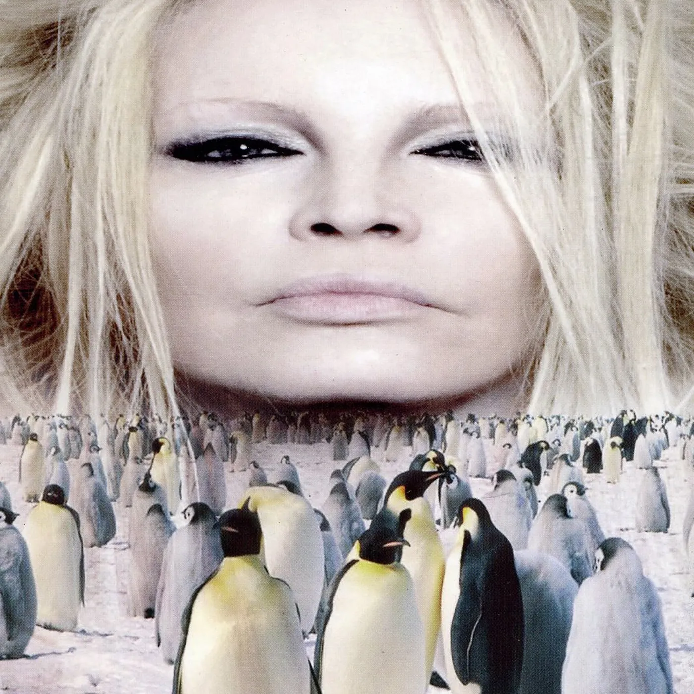Patty Pravo NELLA TERRA DEI PINGUINI CD