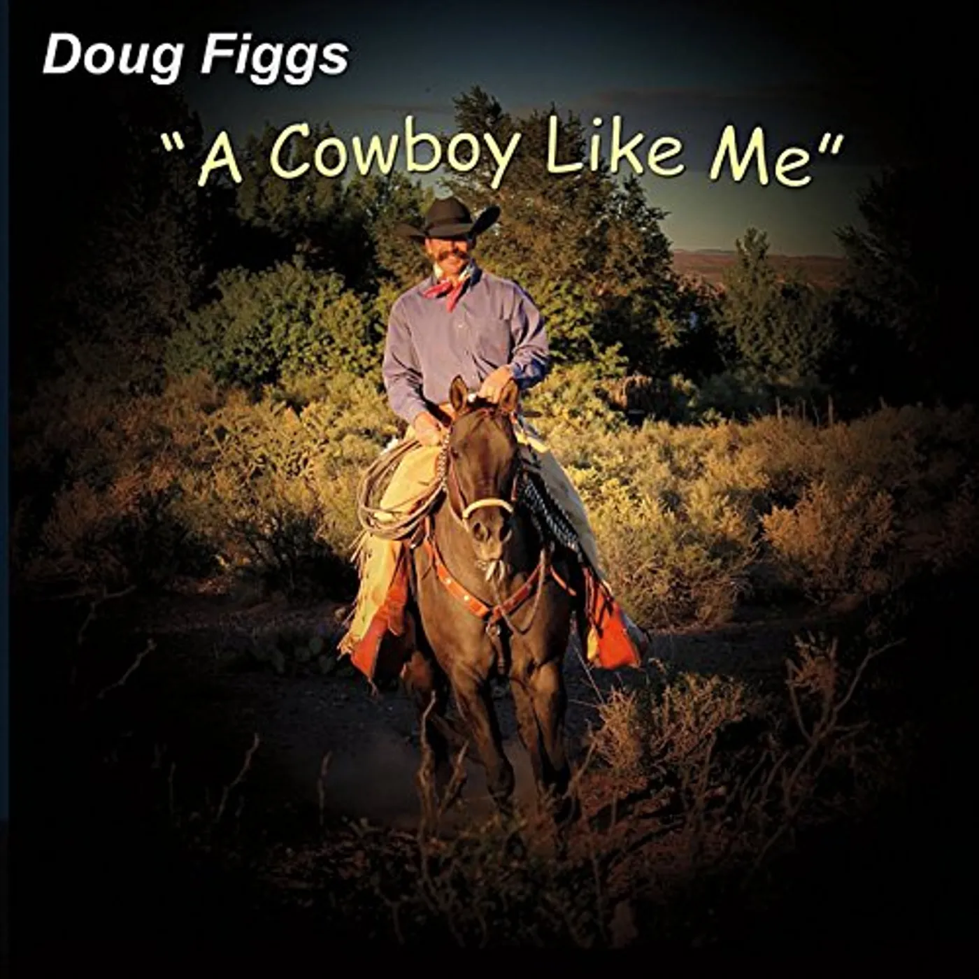 Doug Figgs COWBOY LIKE ME CD