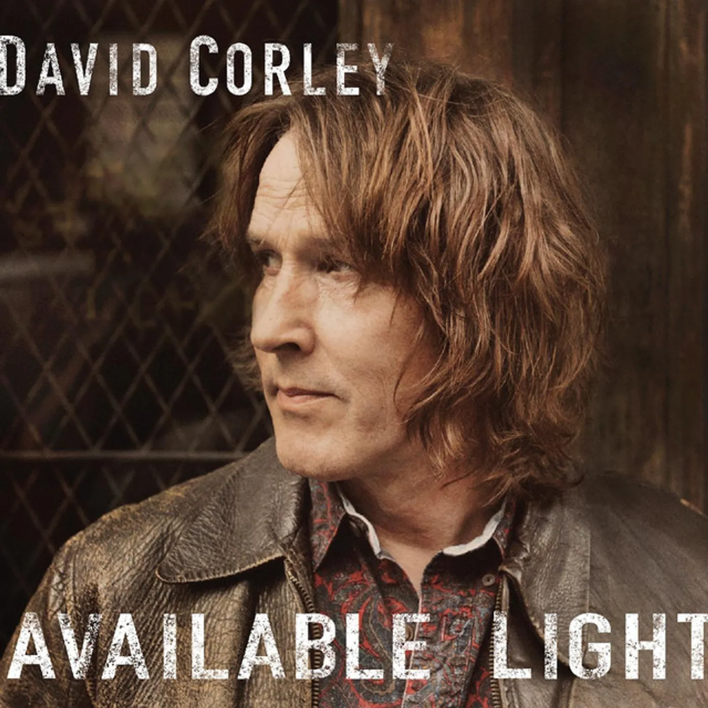 David Corley Available Light Vinyl Record