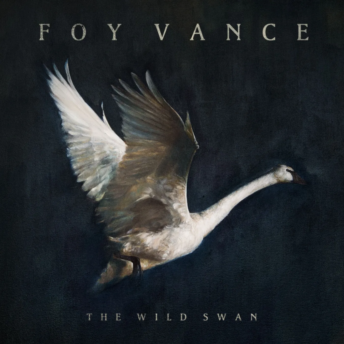 Foy Vance WILD SWAN Vinyl Record