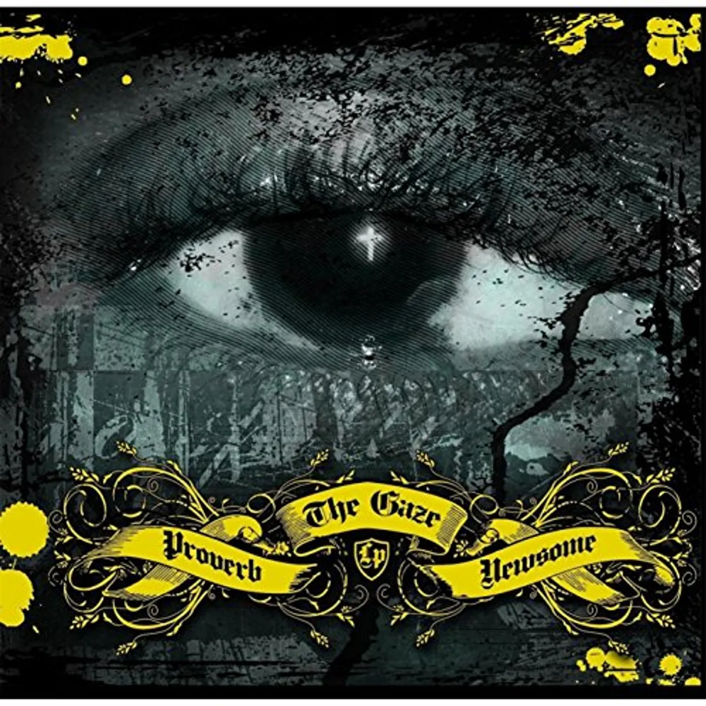 Proverb Newsome GAZE LP CD