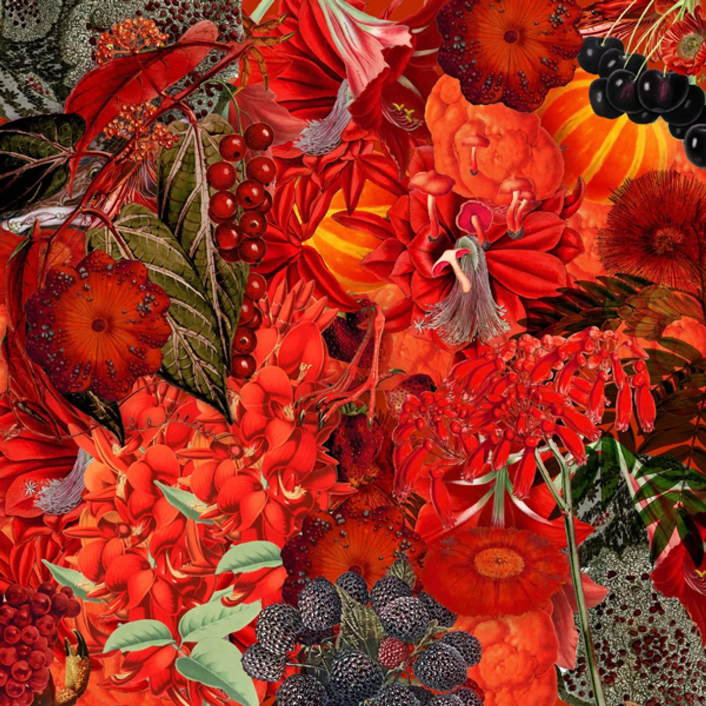 We Will Fail HAND THAT HEALS / HAND THAT HEALS CD