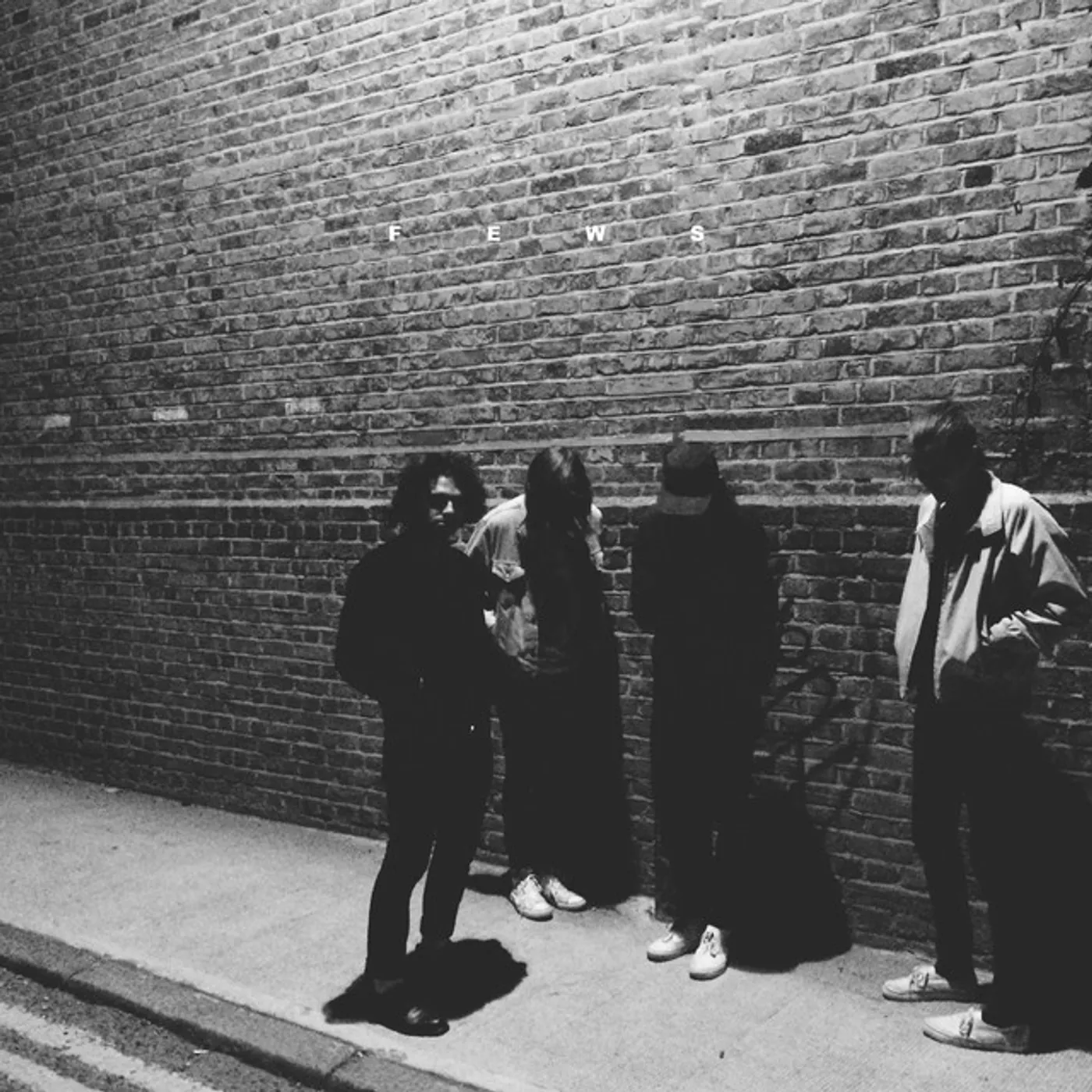 FEWS Means Vinyl Record