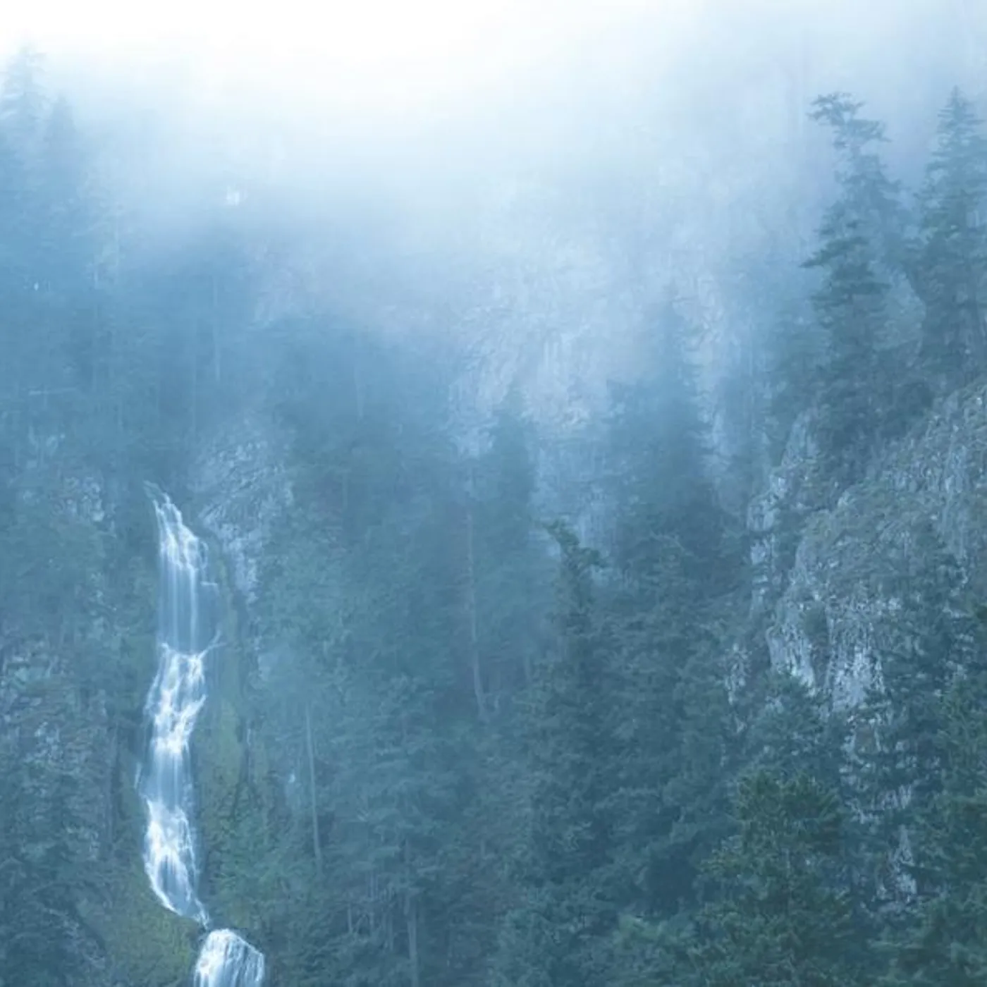 Wolves In The Throne Room Diadem of 12 Stars Vinyl Record