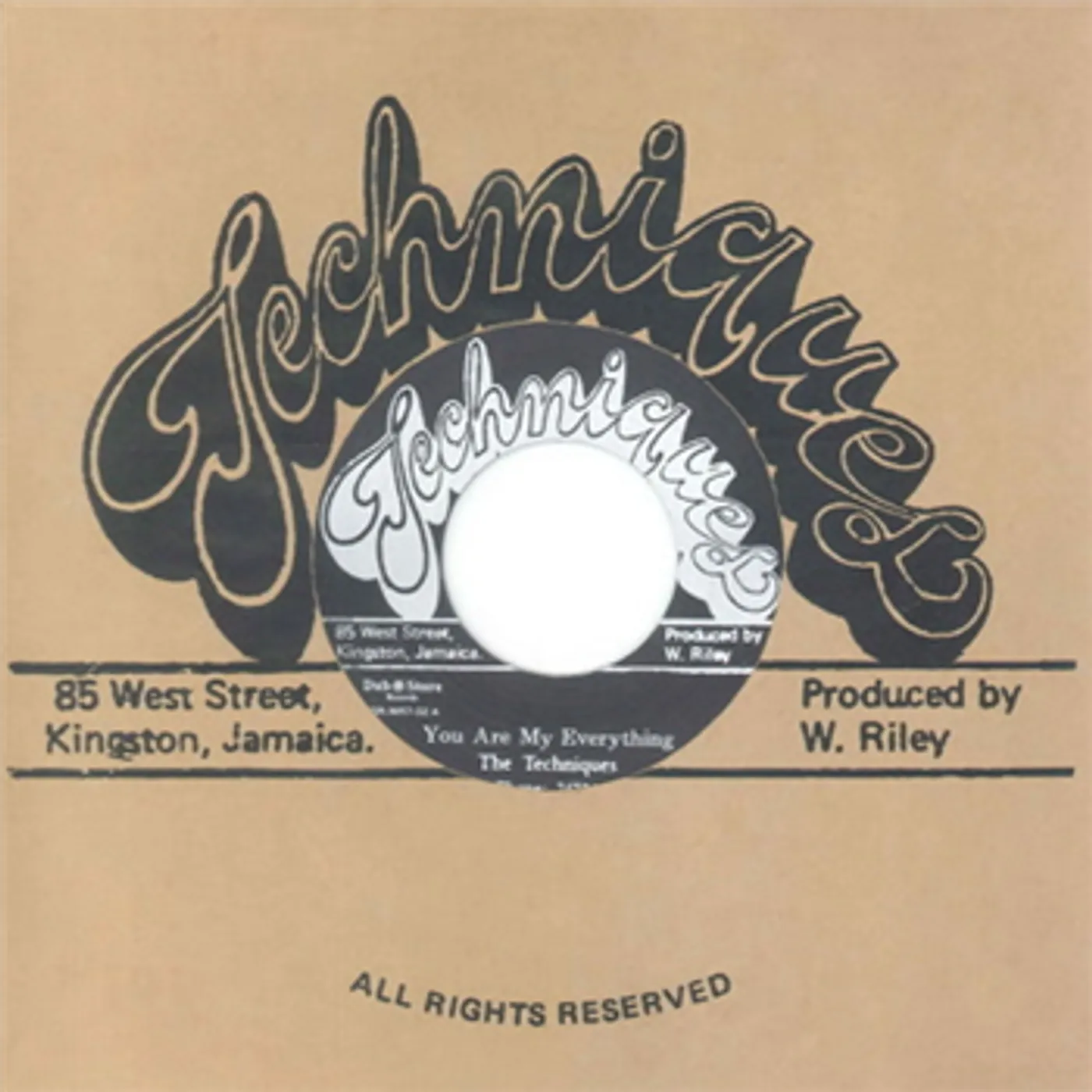 The Techniques You Are My Everything Vinyl Record