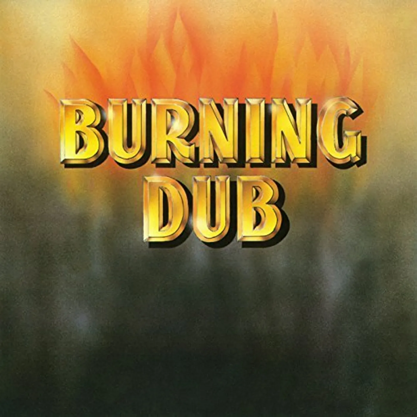The Revolutionaries BURNING DUB CD