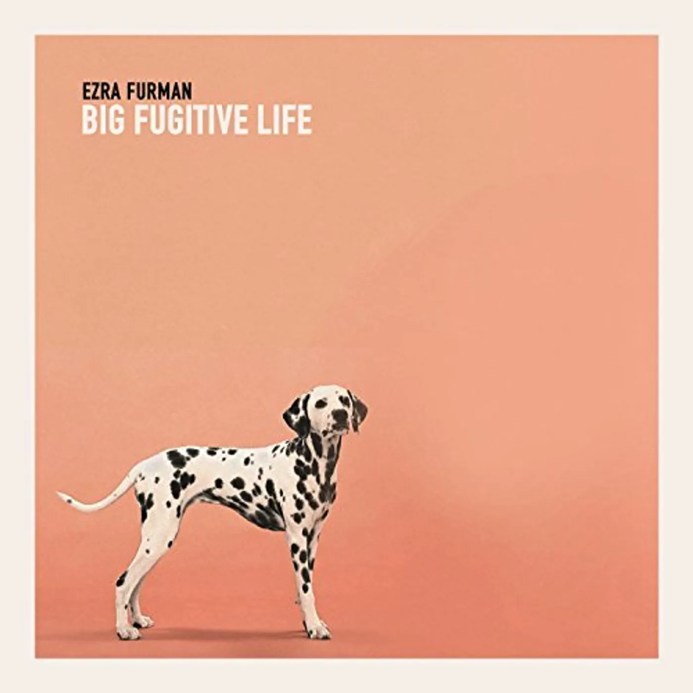 Ezra Furman FUGITIVE Vinyl Record