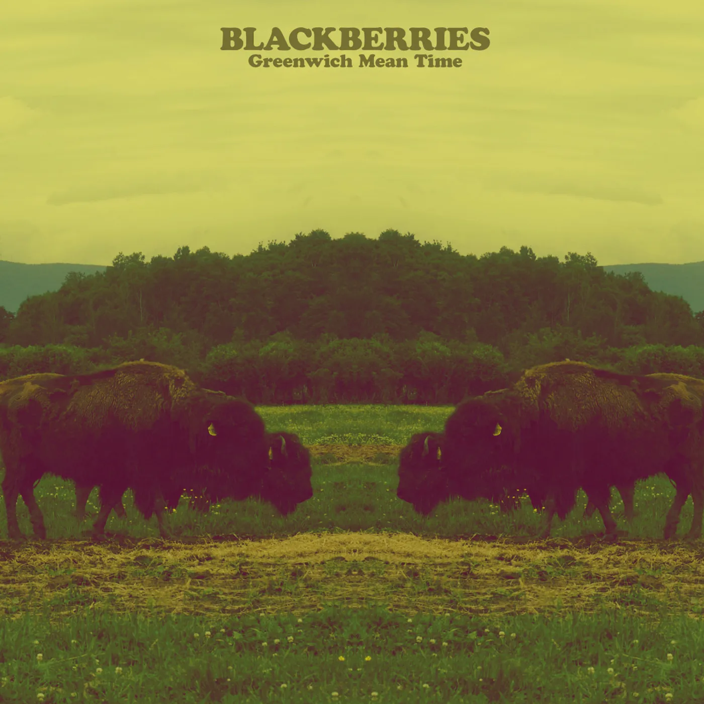 Blackberries GREENWICH MEAN TIME CD
