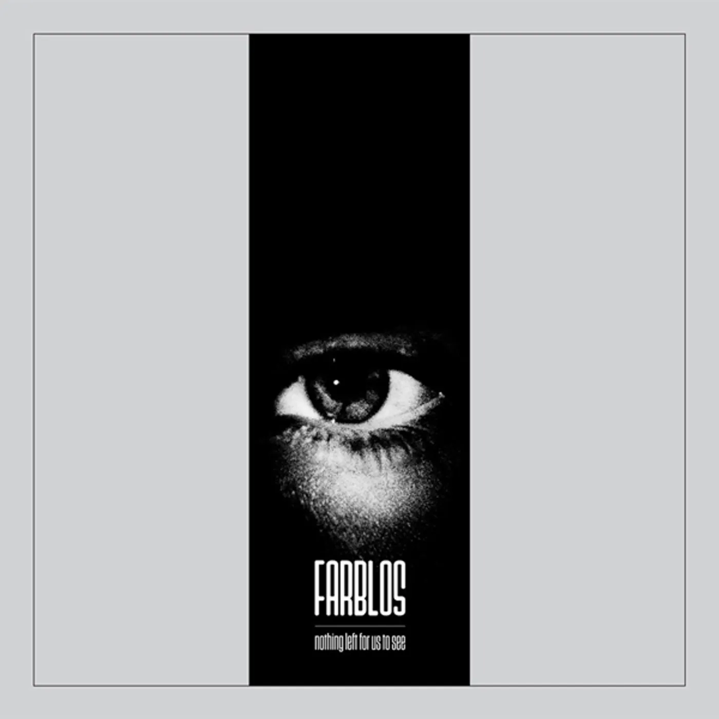 Farblos Nothing Left for Us to See Vinyl Record