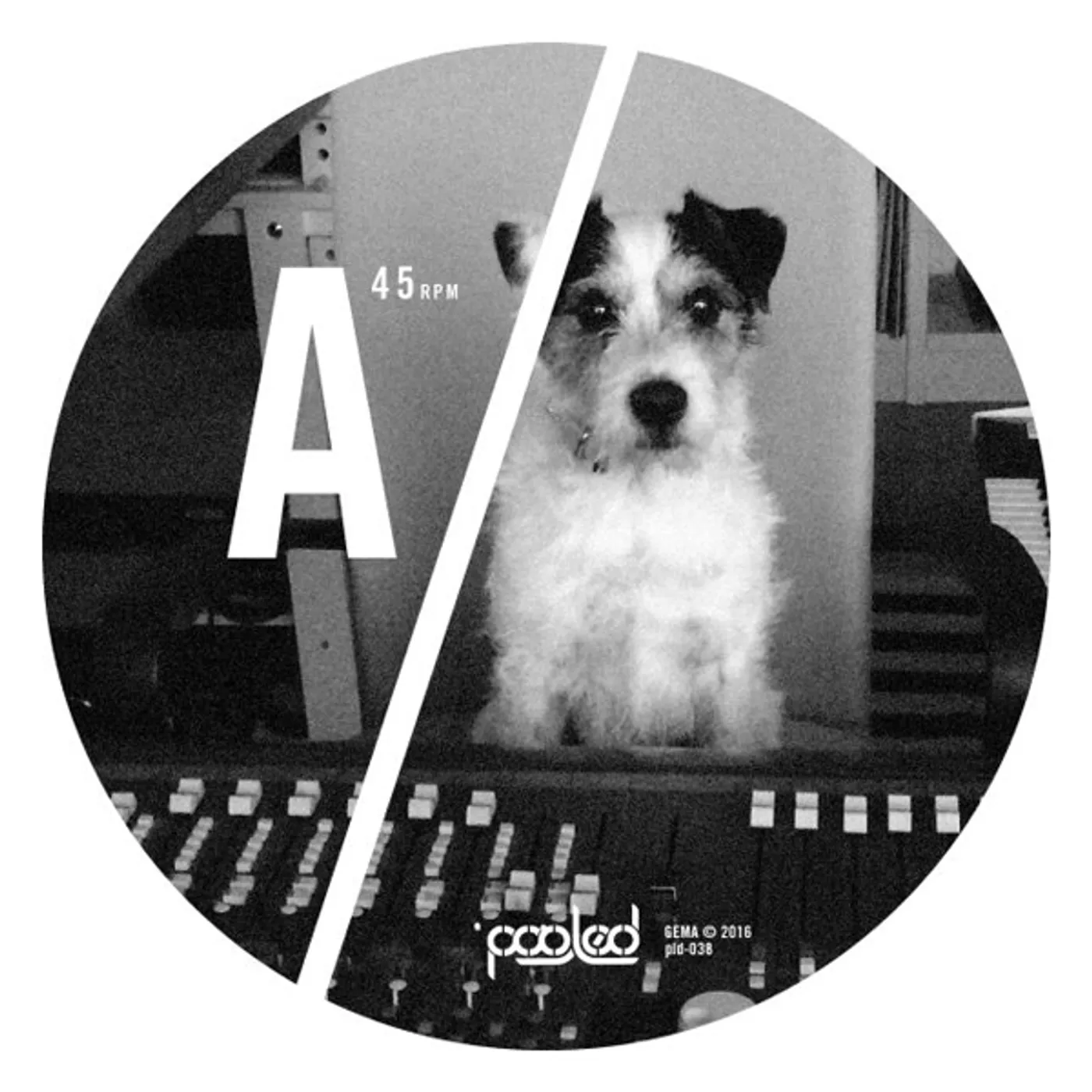 Ian Pooley TURAKINA Vinyl Record