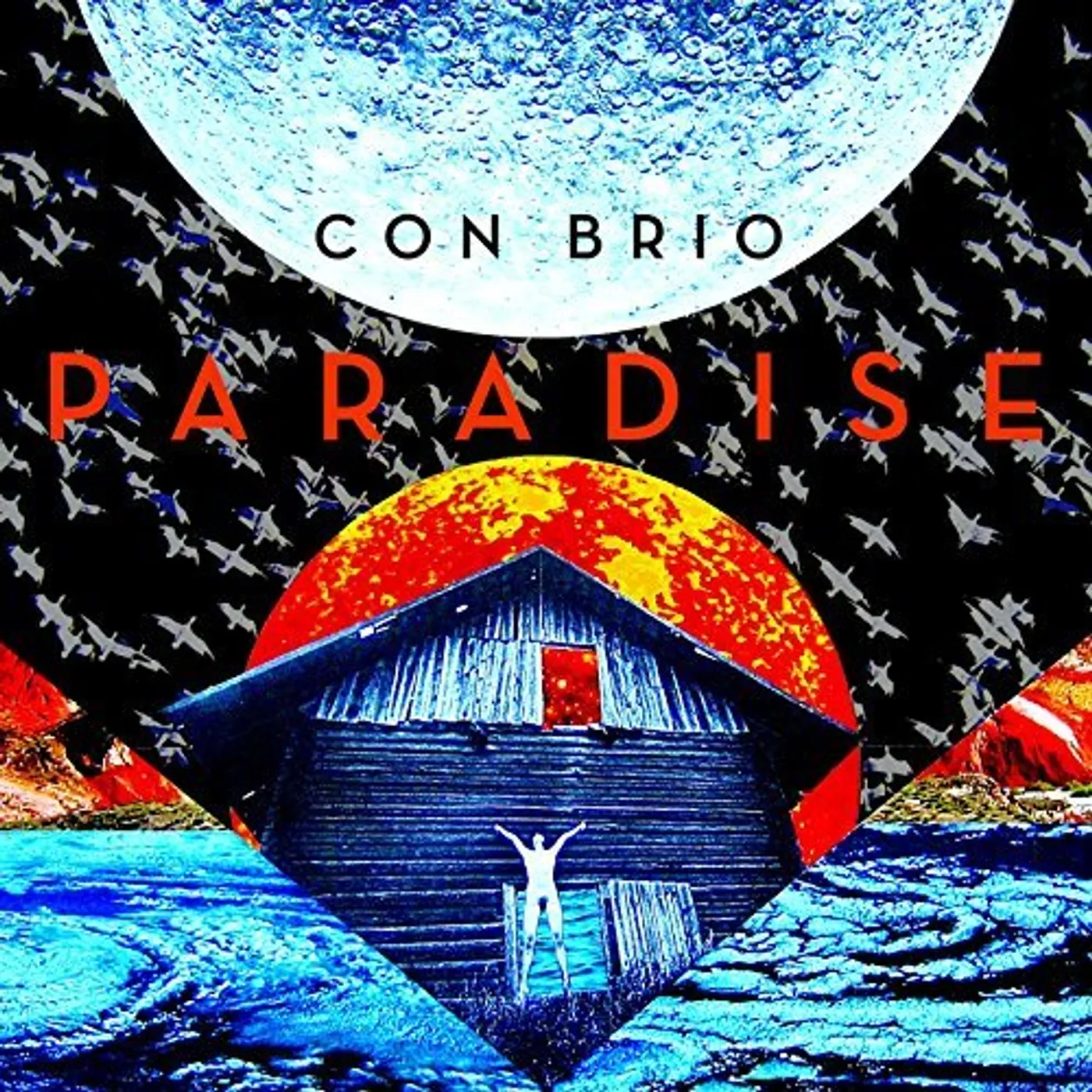 Con Brio PARADISE CD