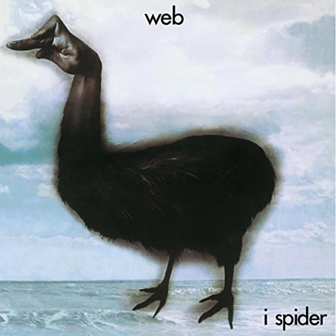 Web I Spider Vinyl Record