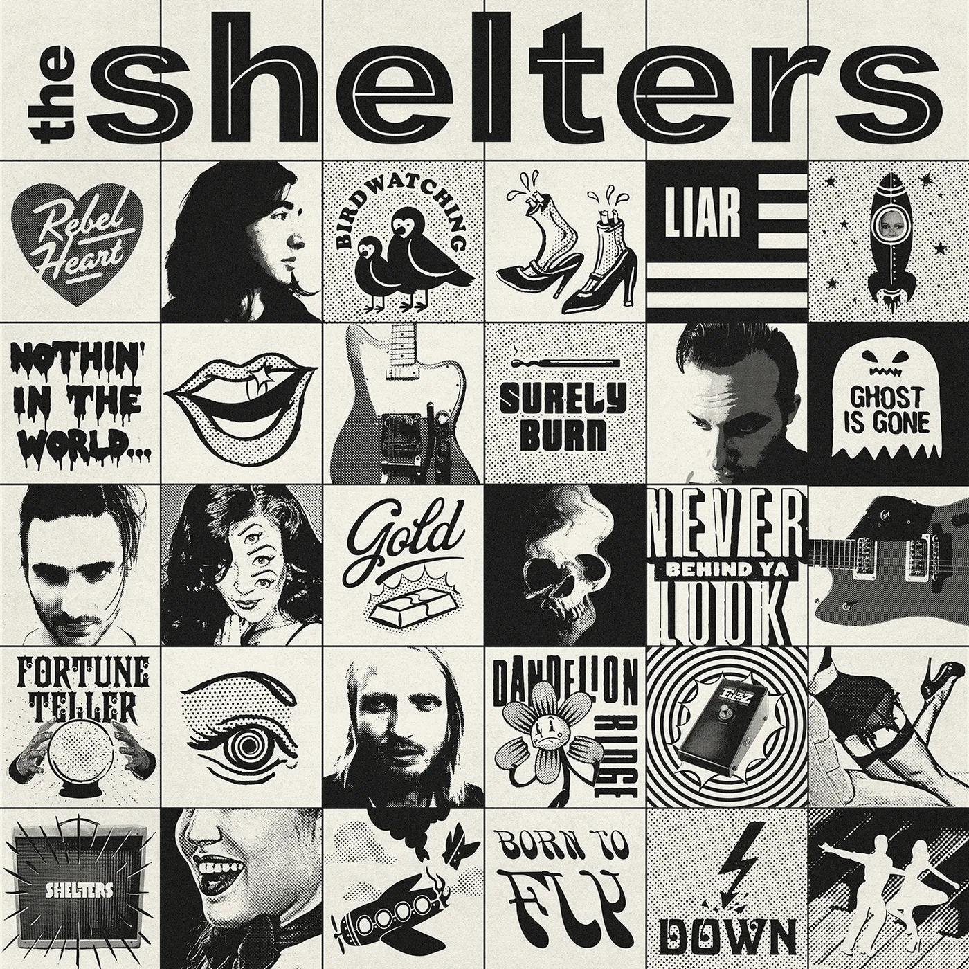 The Shelters Vinyl Record