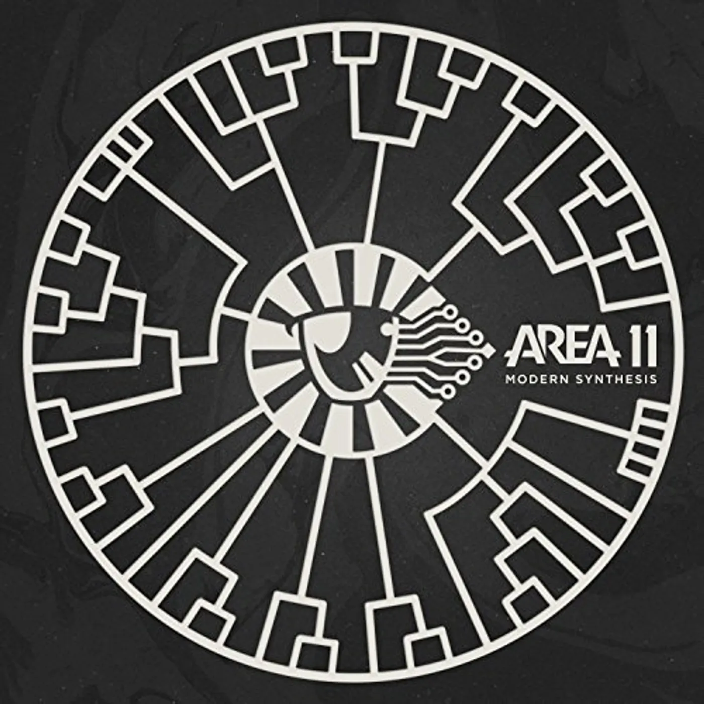 Area 11 Modern Synthesis Vinyl Record