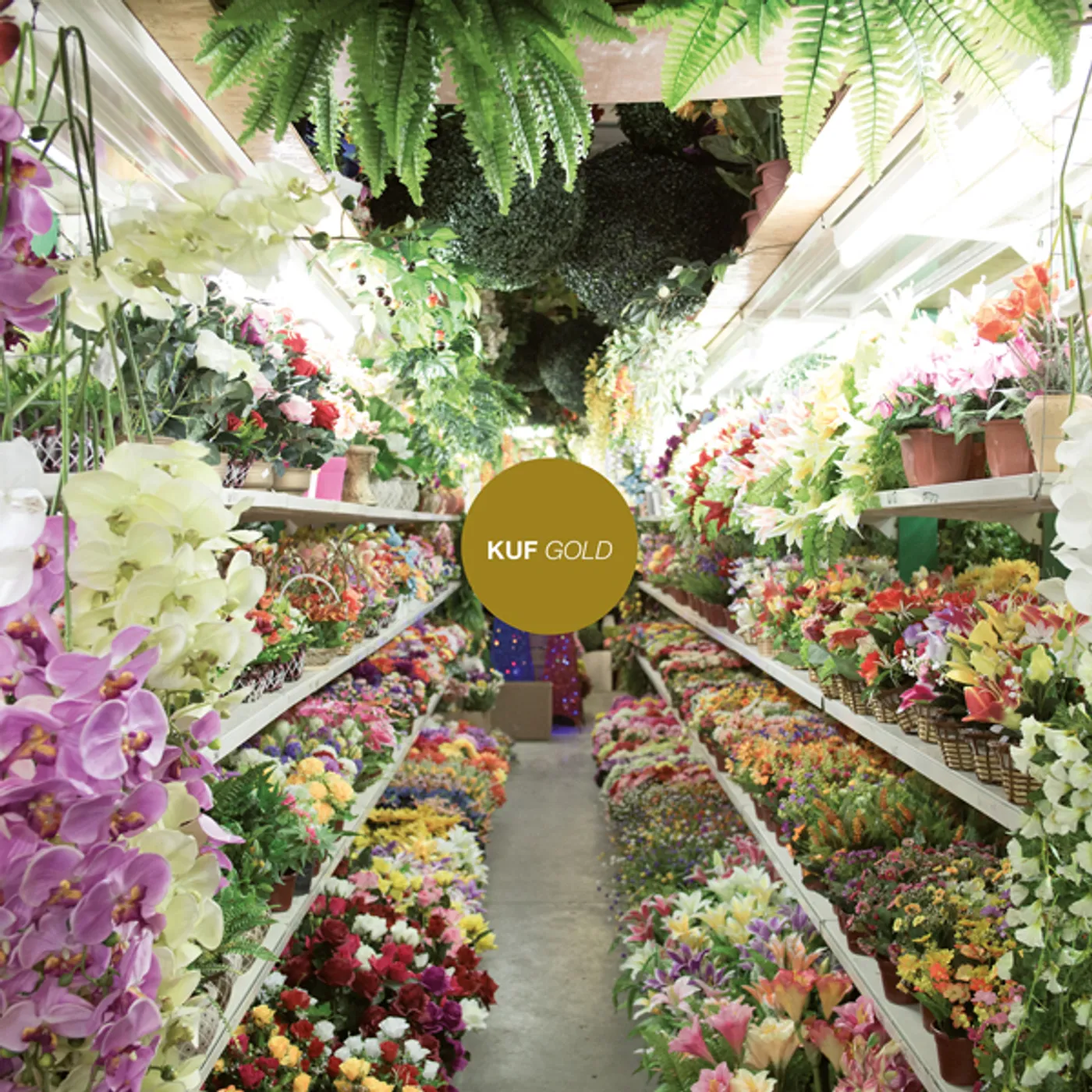 Kuf Gold Vinyl Record