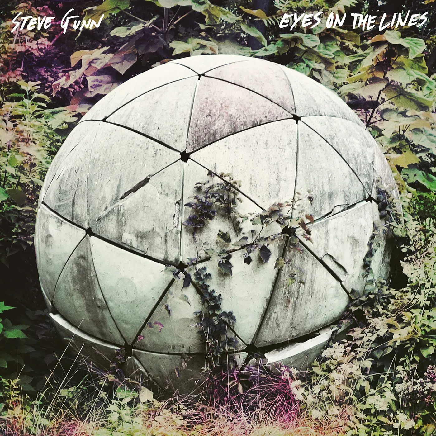 Steve Gunn & Mike Cooper Eyes On The Lines Vinyl Record