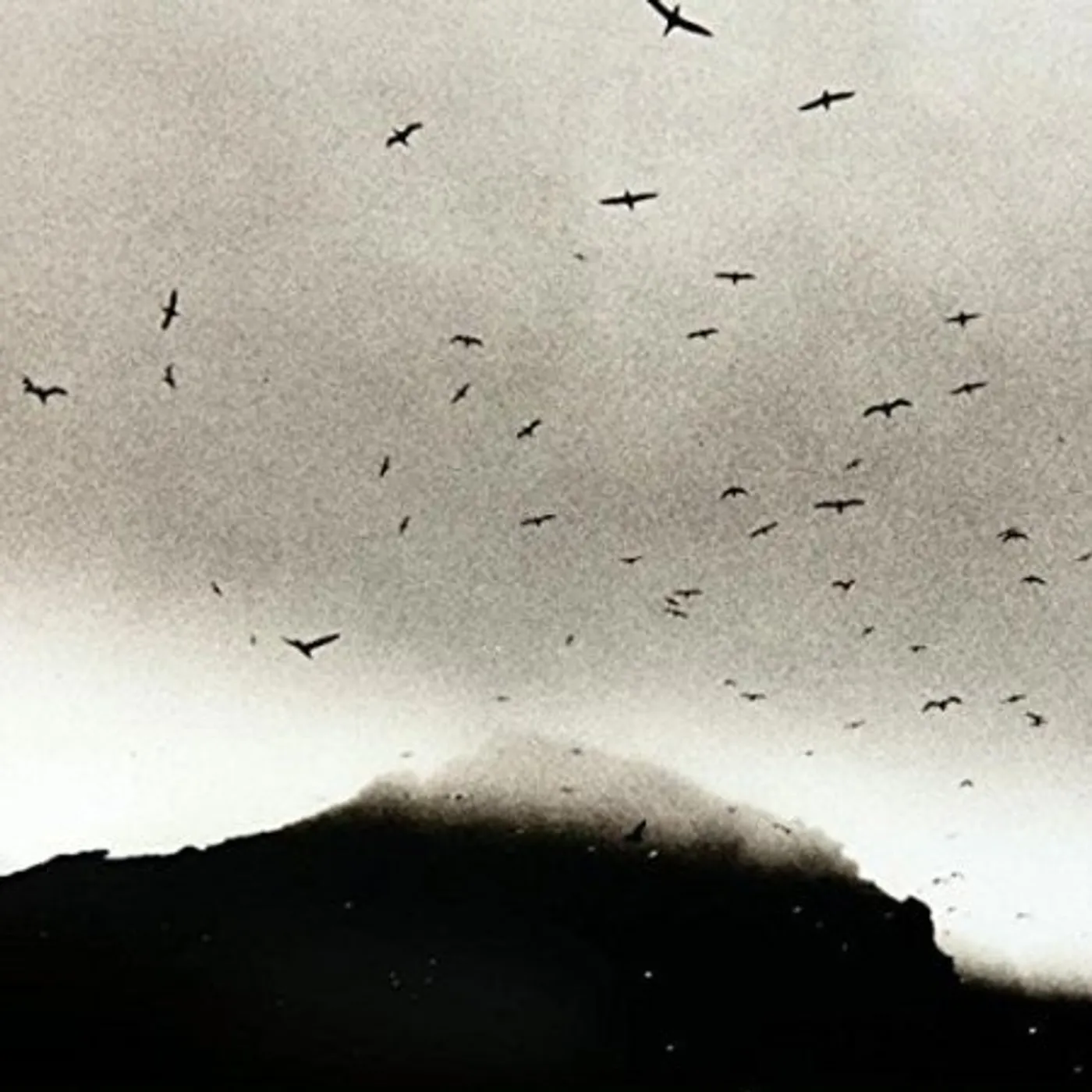 Kris Drever If Wishes Were Horses Vinyl Record