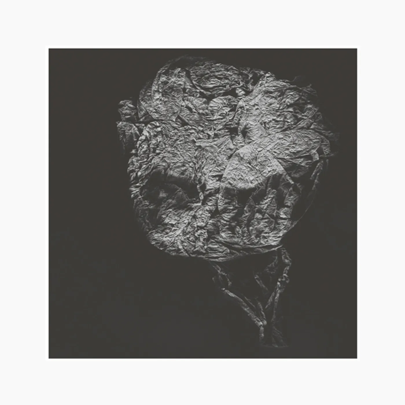 David Toop Entities Inertias Faint Beings Vinyl Record