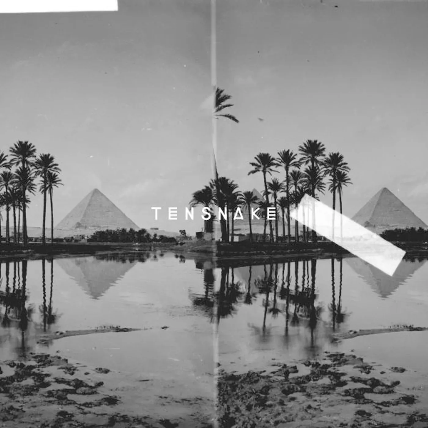 Tensnake DESIRE Vinyl Record