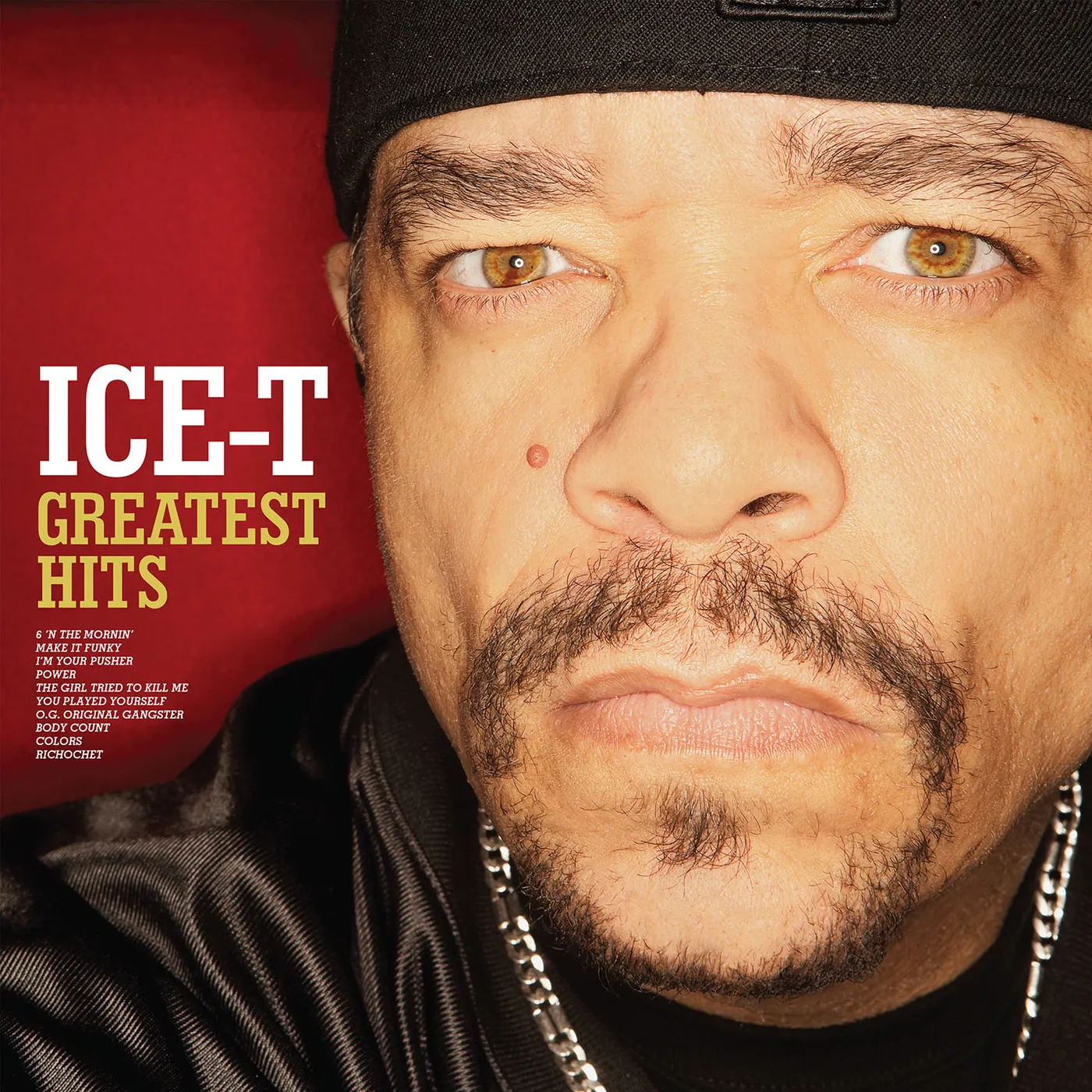 ICE-T Greatest Hits Vinyl Record