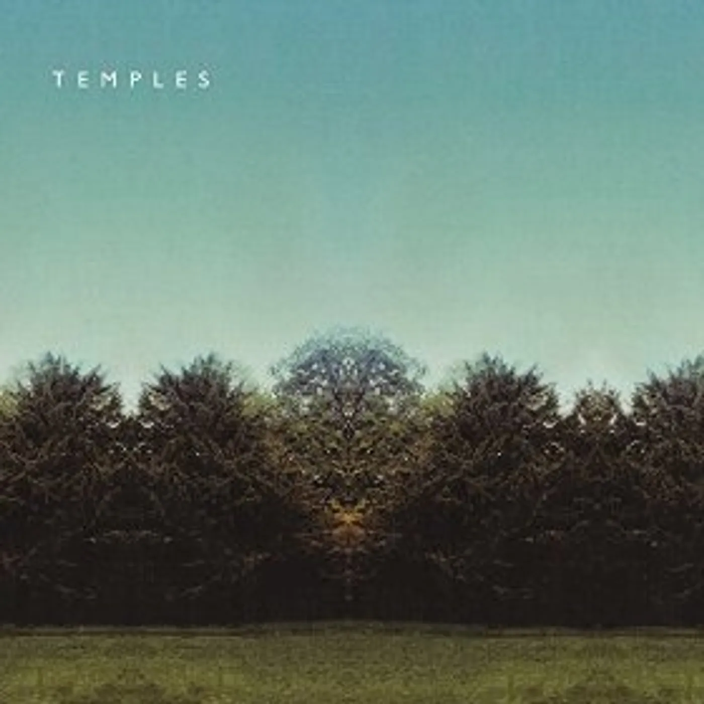 Temples Mesmerise Live Vinyl Record