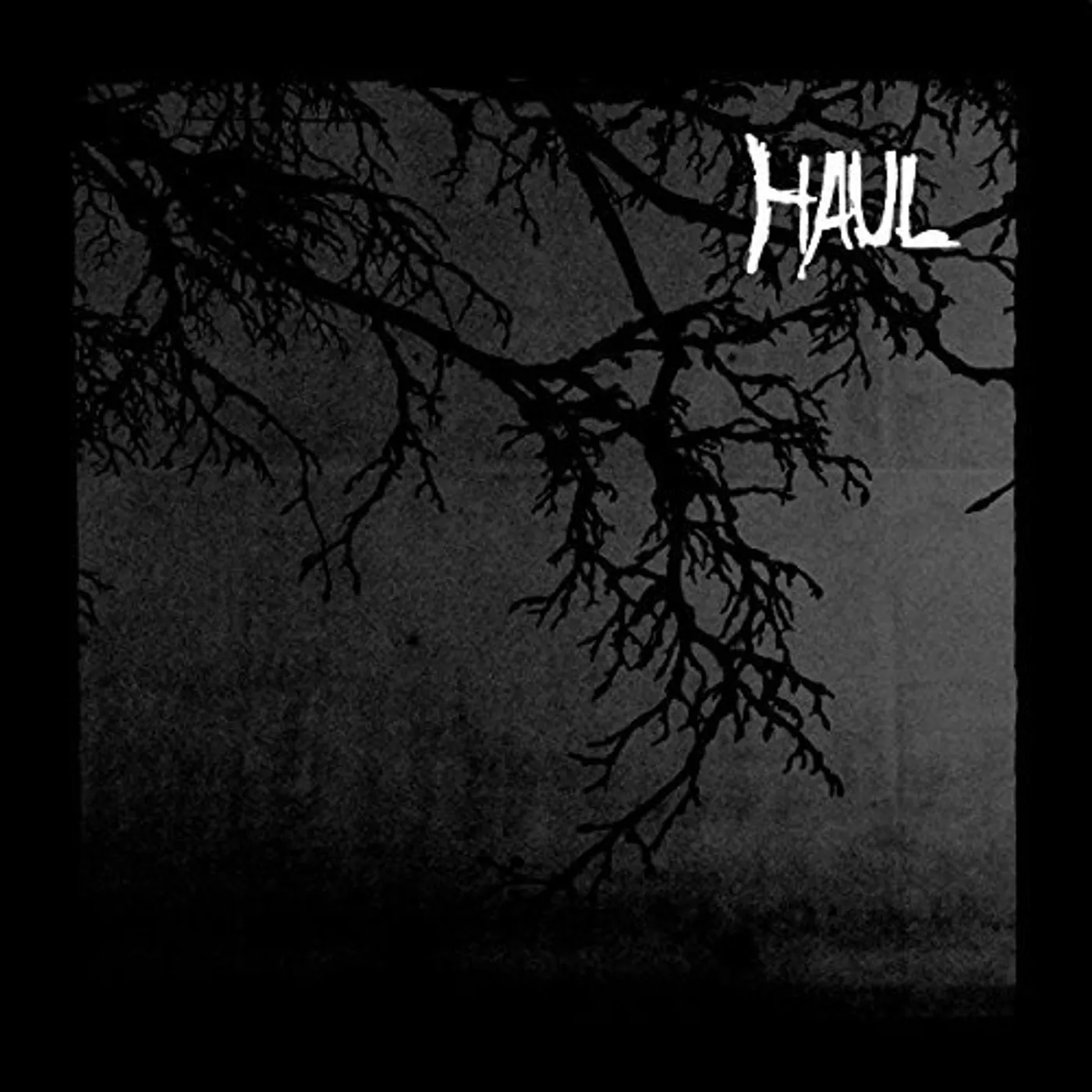 Haul SEPERATION Vinyl Record