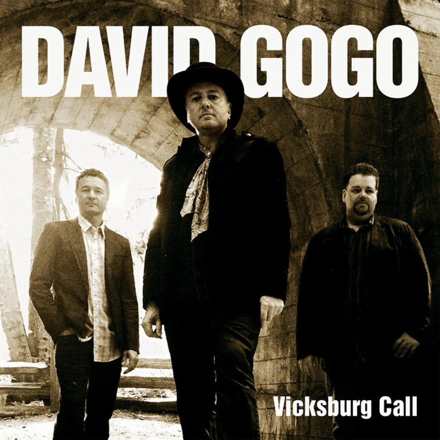 David Gogo Vicksburg Call Vinyl Record