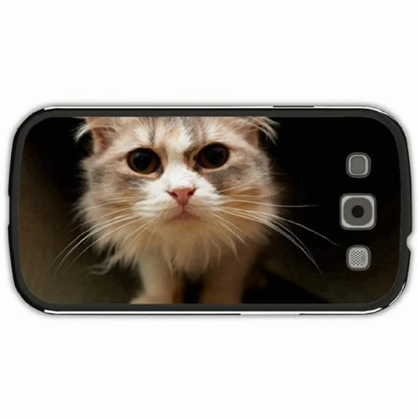 PUP DREAM IS OVER Vinyl Record