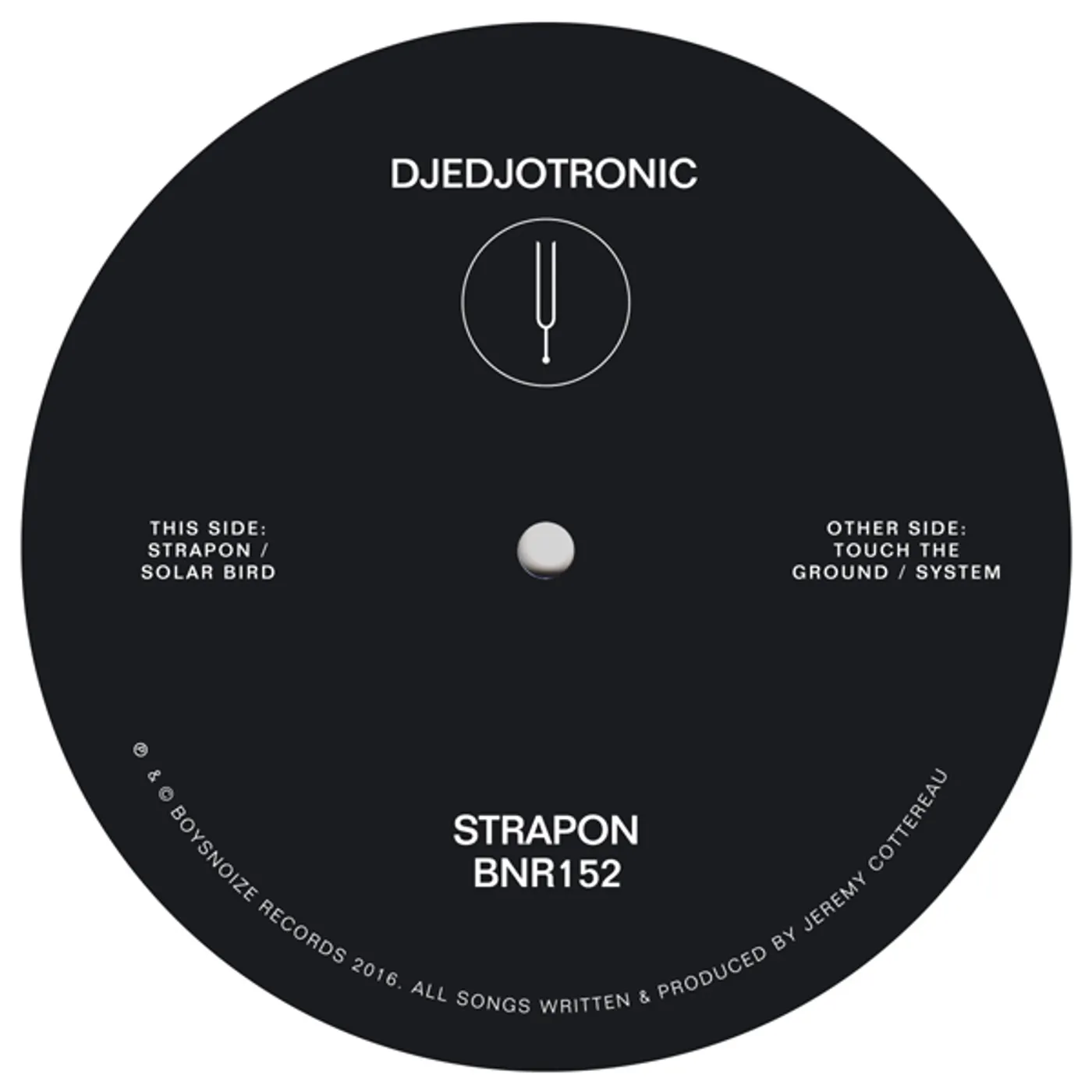 Djedjotronic Strapon Vinyl Record