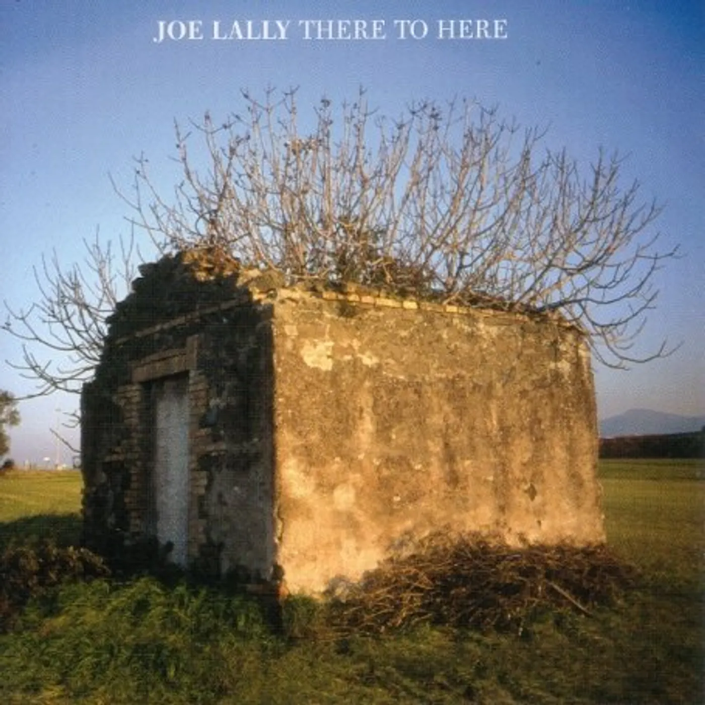 Joe Lally There to Here Vinyl Record