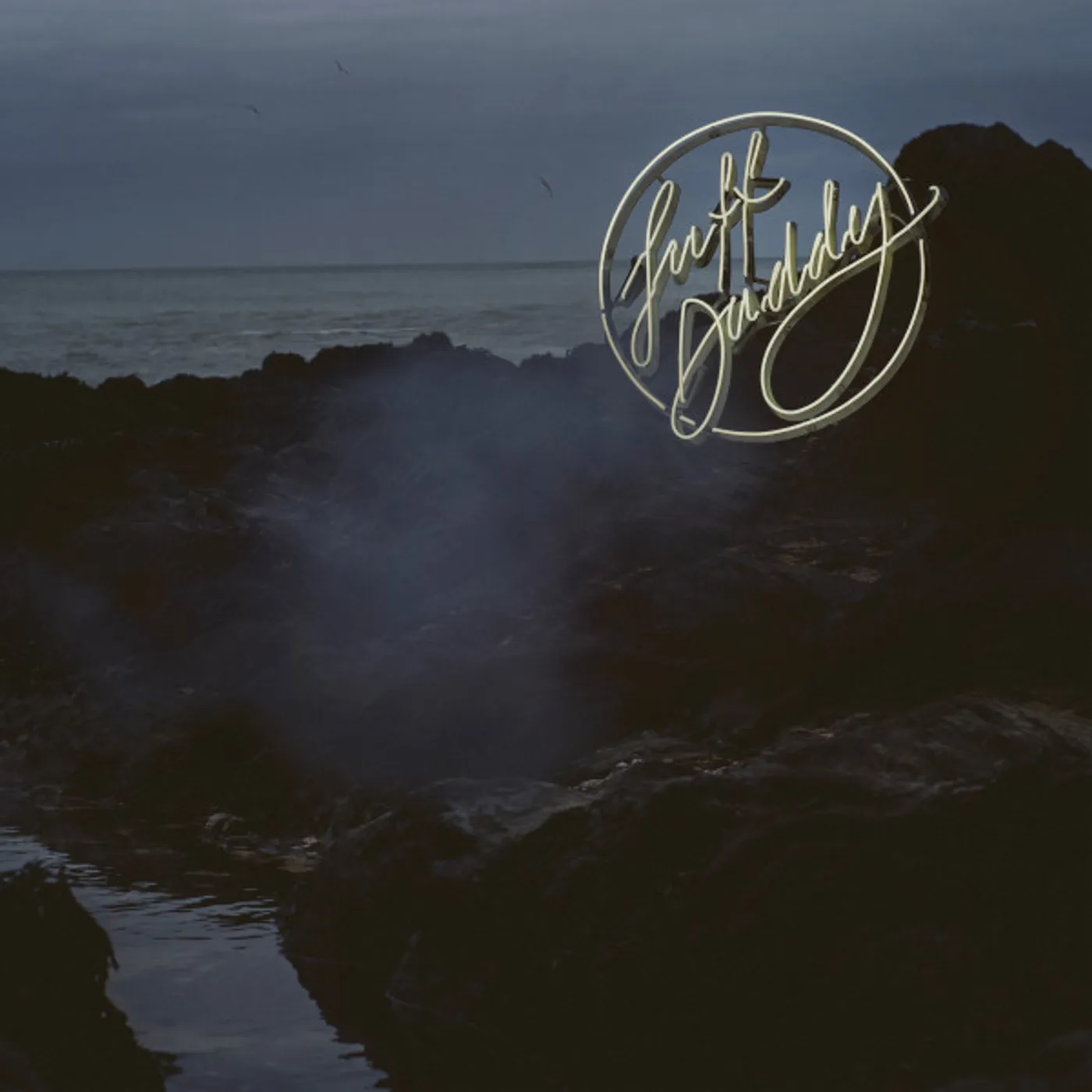 Suff Daddy BIRD SONGS Vinyl Record - Digital Download Included