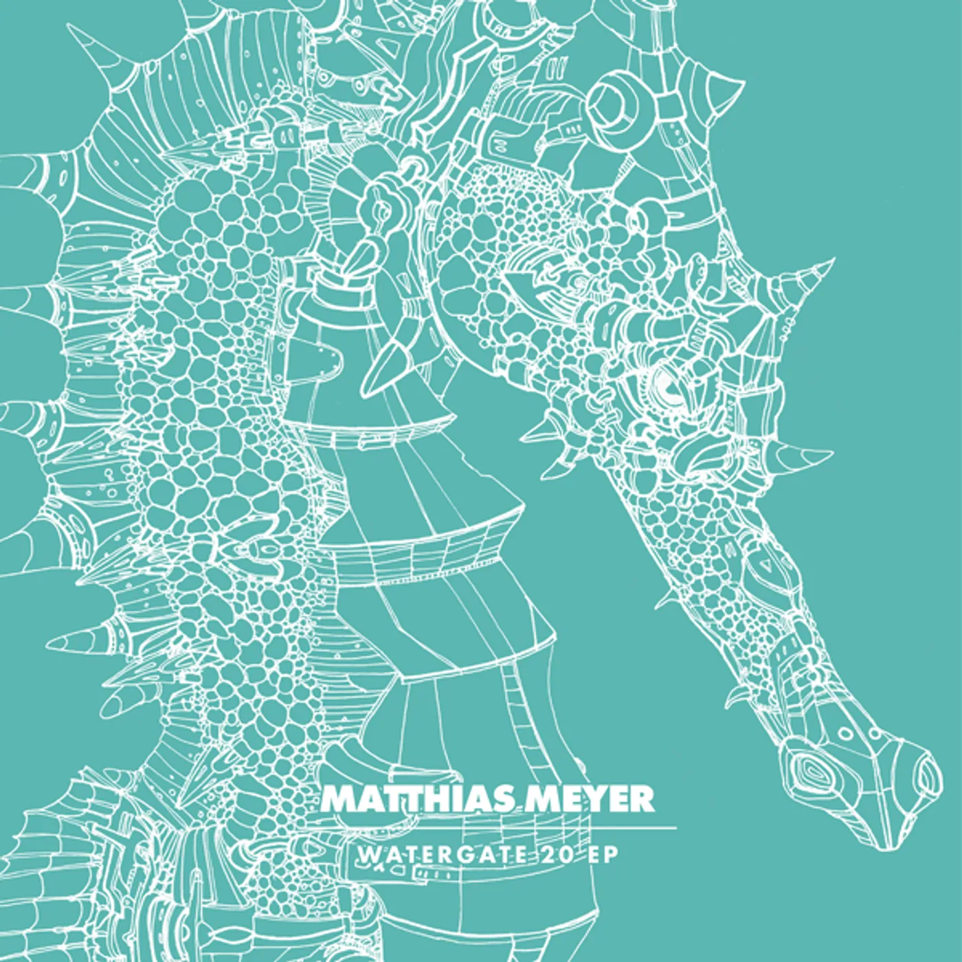 Matthias Meyer Watergate 20 Vinyl Record