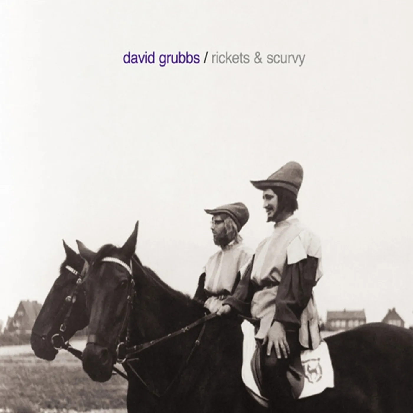 David Grubbs Rickets & Scurvy Vinyl Record