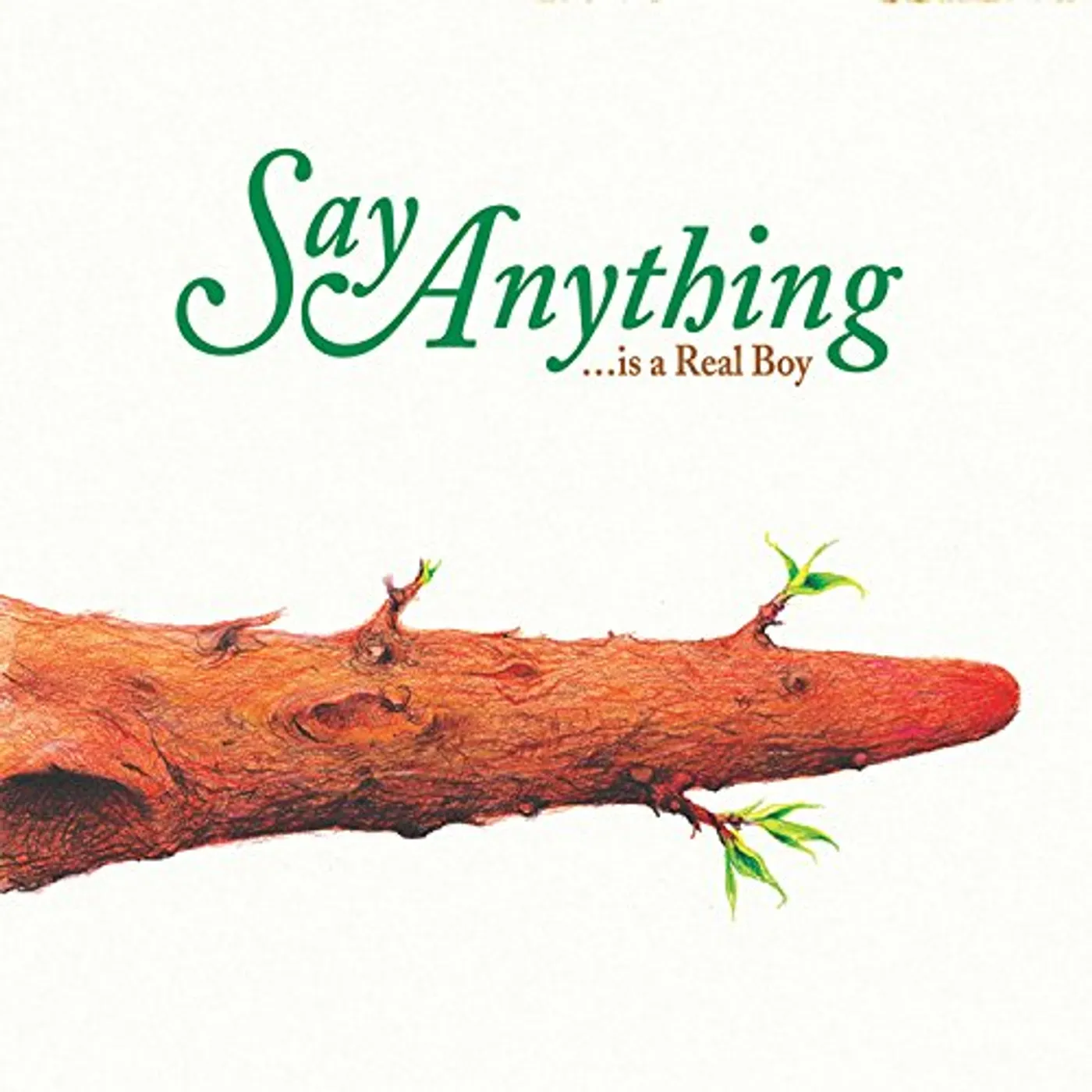 Say Anything Is a Real Boy Vinyl Record