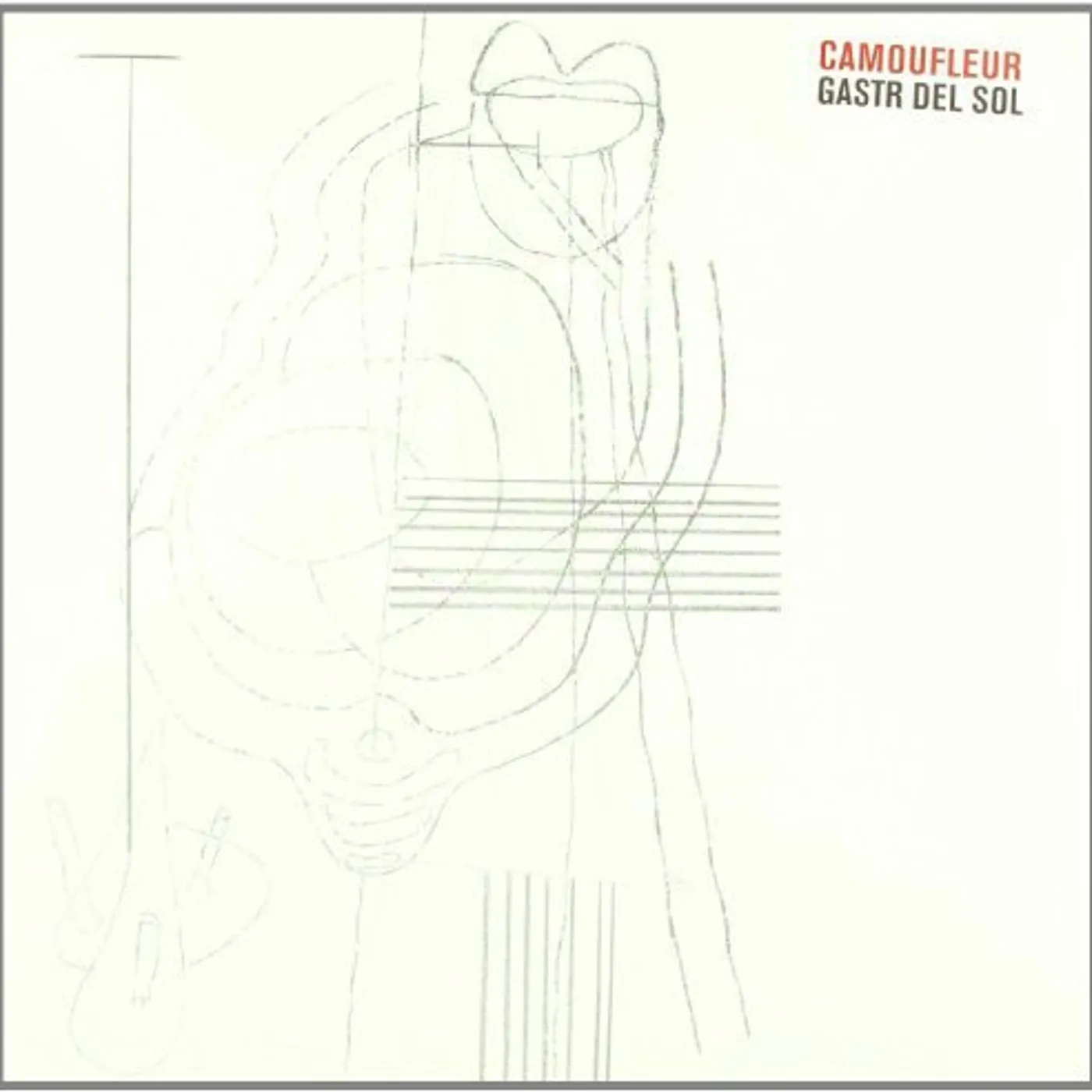 Gastr Del Sol Camoufleur Vinyl Record