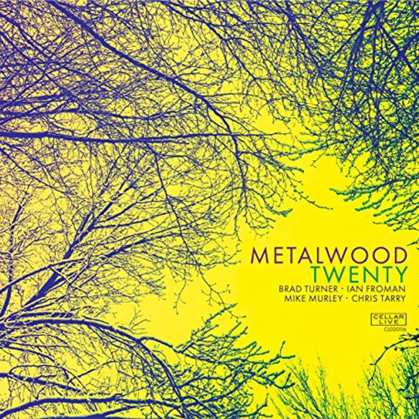 Metalwood TWENTY CD