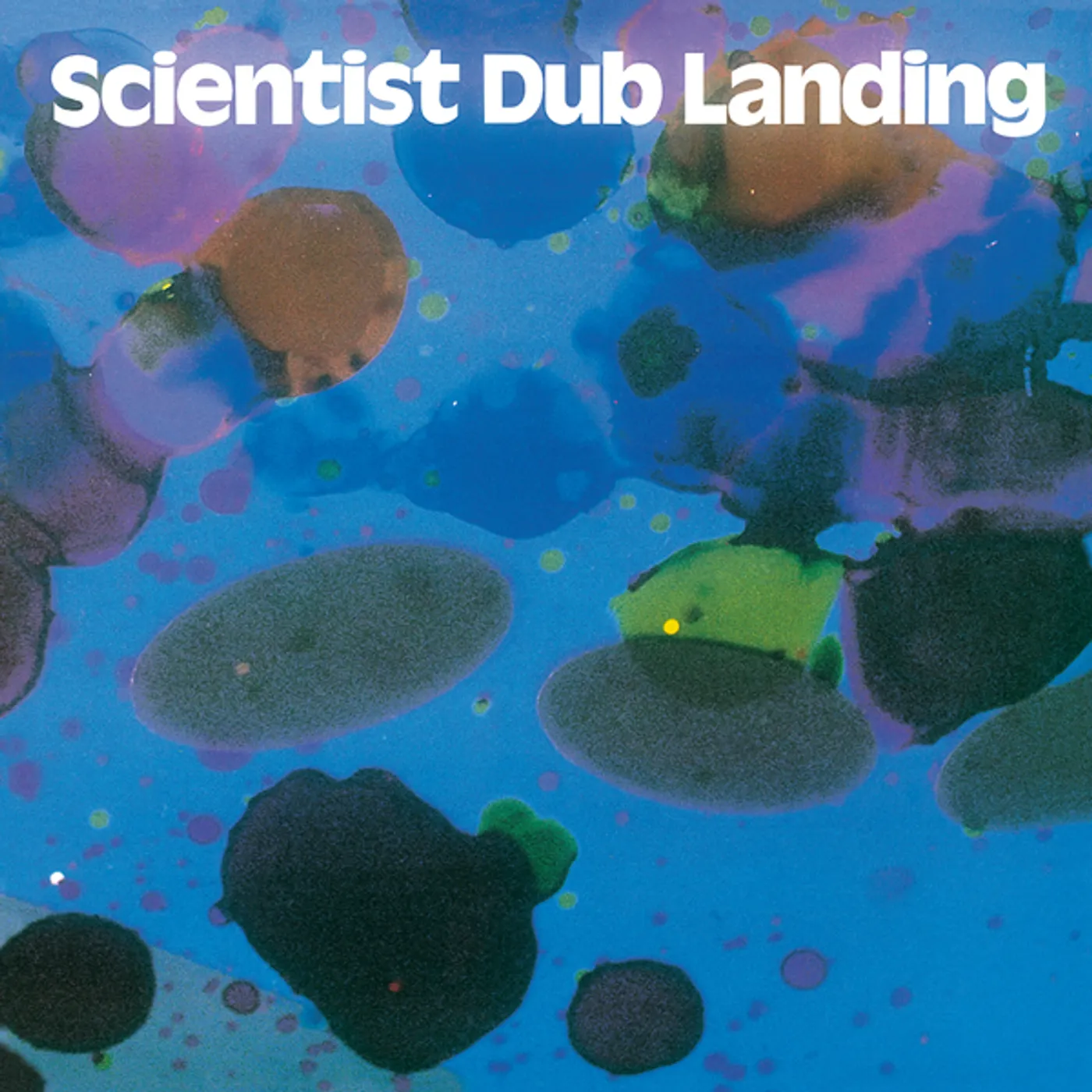 Scientist Dub Landing Vinyl Record