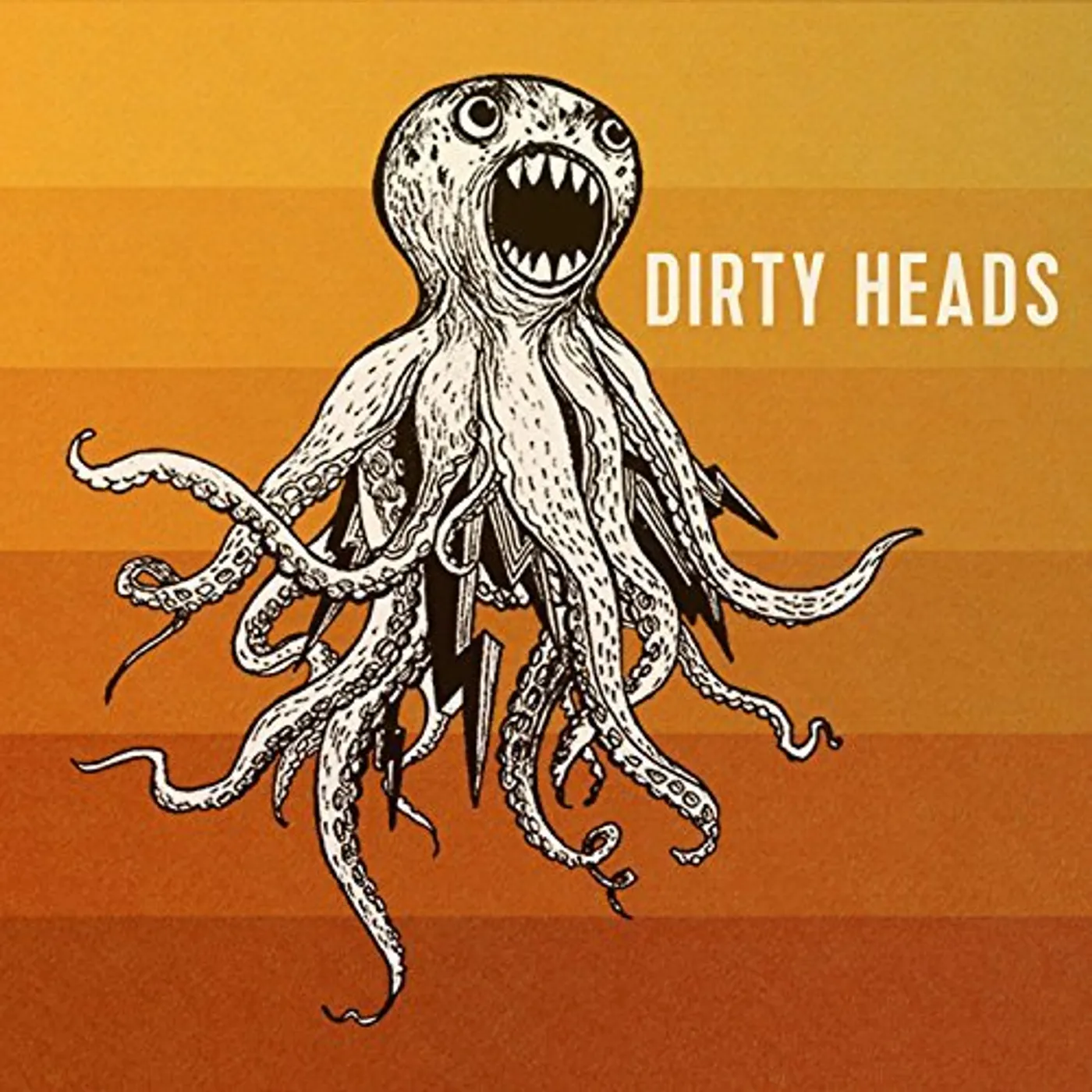 DIRTY HEADS CD