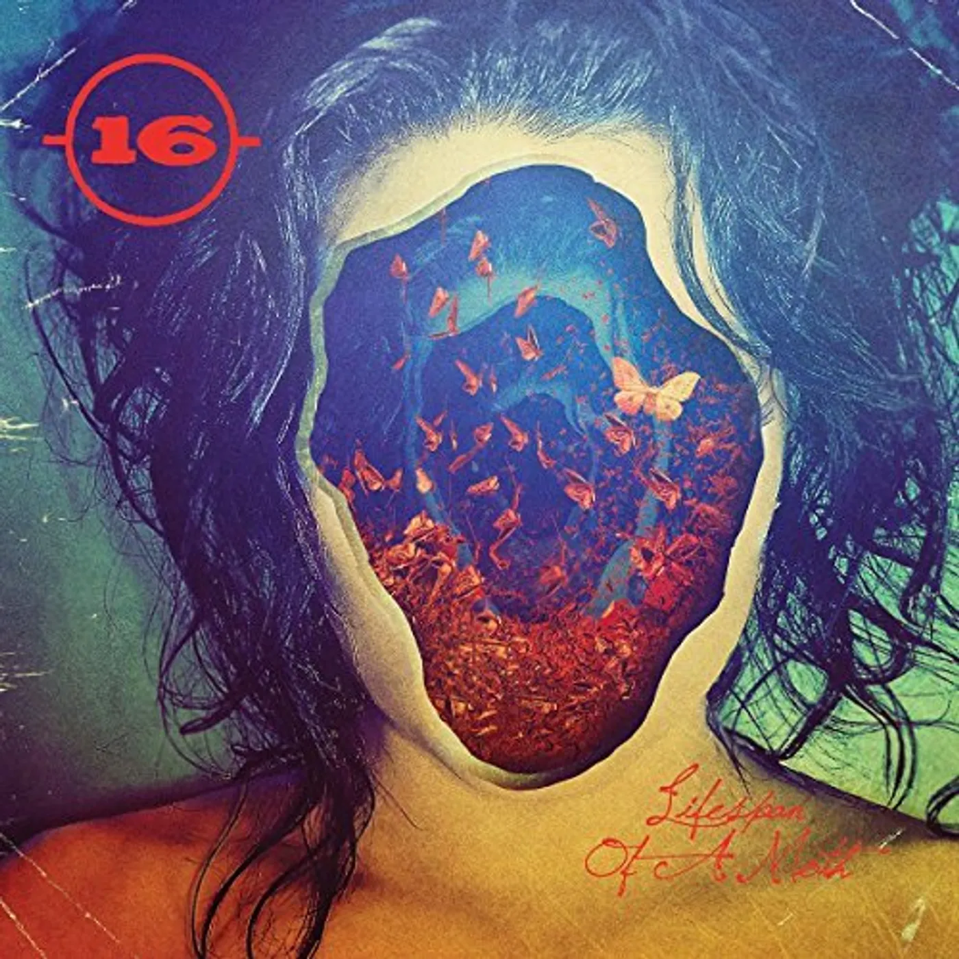 16 LIFESPAN OF A MOTH CD