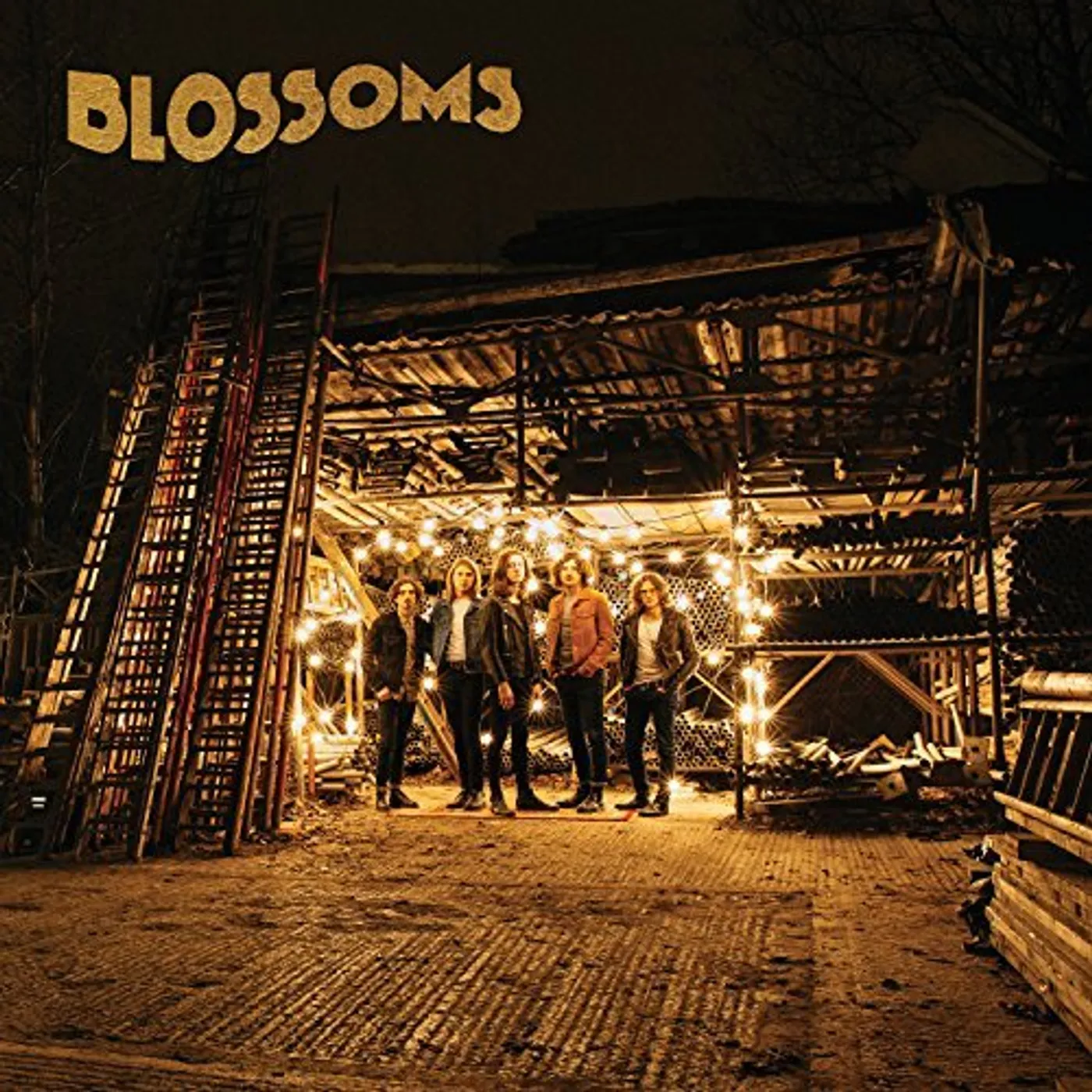 BLOSSOMS CD