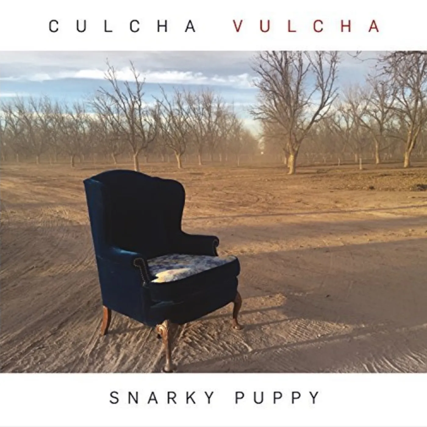 Snarky Puppy Culcha Vulcha Vinyl Record