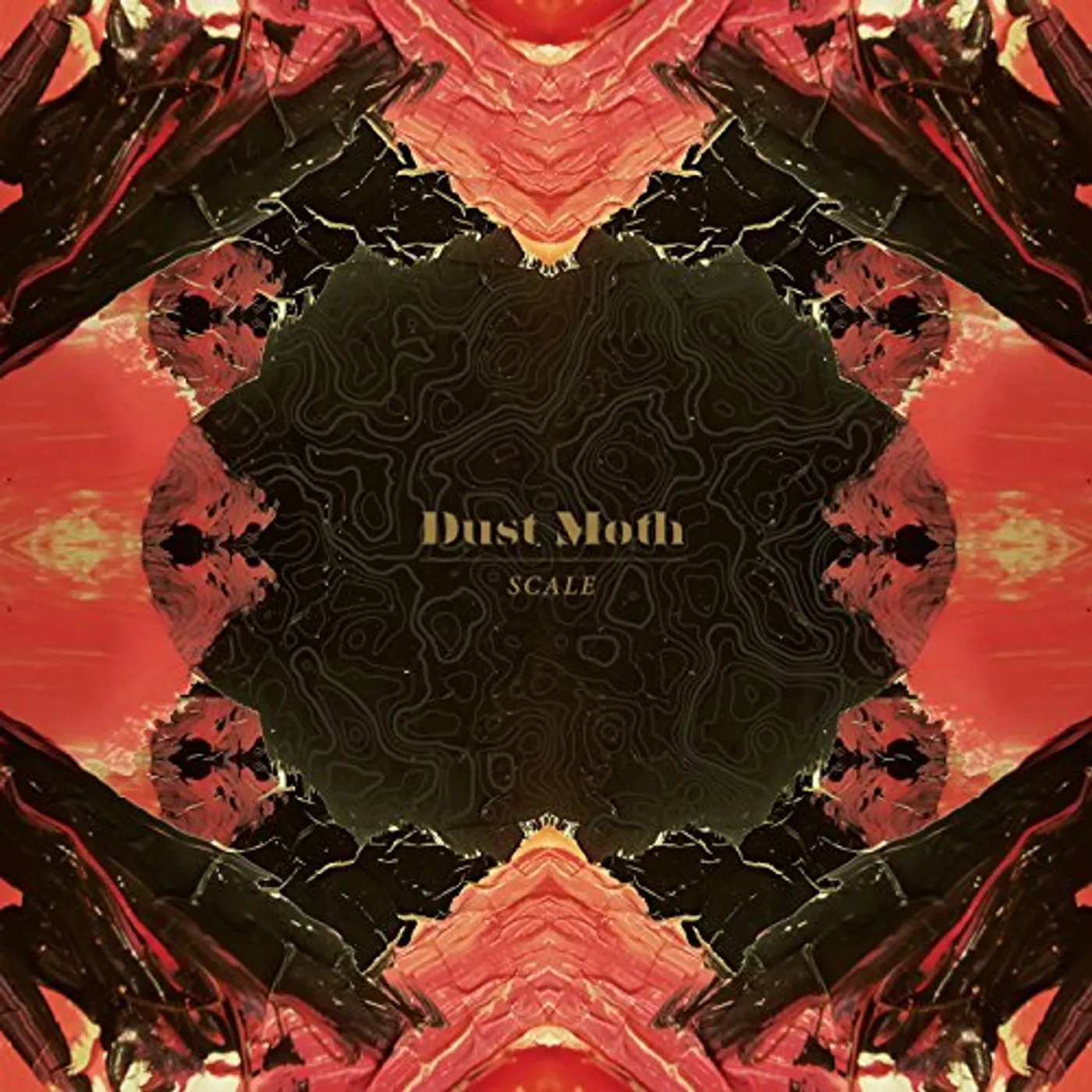 Dust Moth Scale Vinyl Record