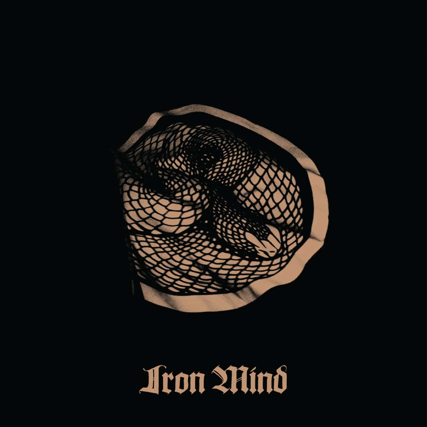Iron Mind Vinyl Record
