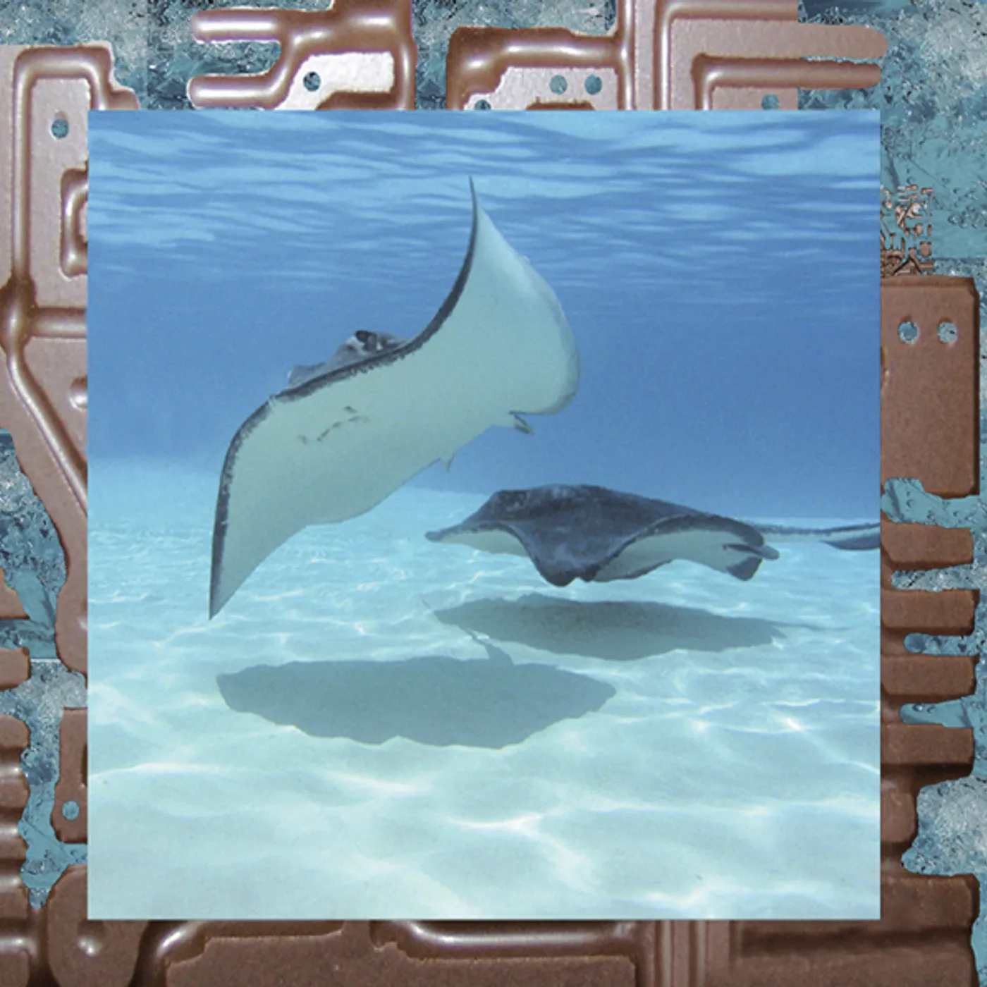 James Ferraro REREX Vinyl Record