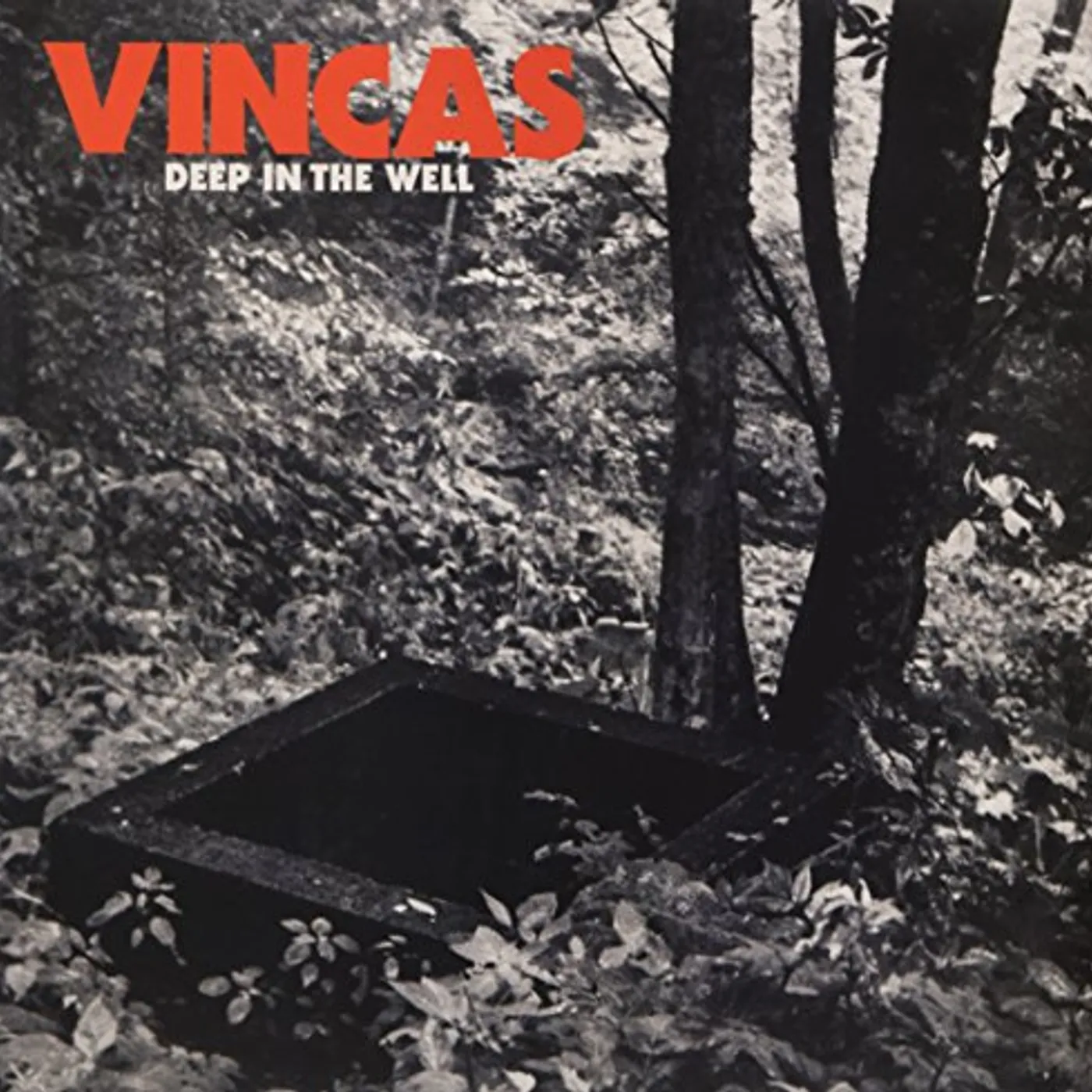 Vincas Deep in the Well Vinyl Record