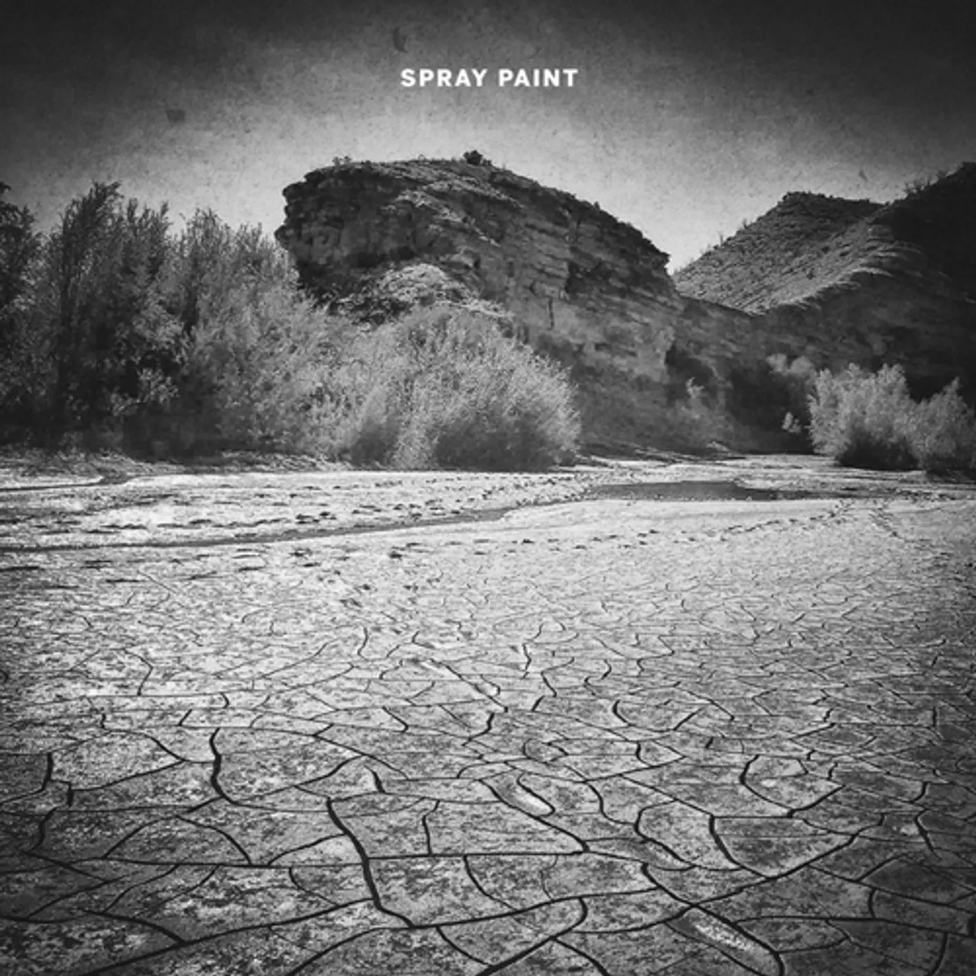 Spray Paint Bogans and Hoons Vinyl Record