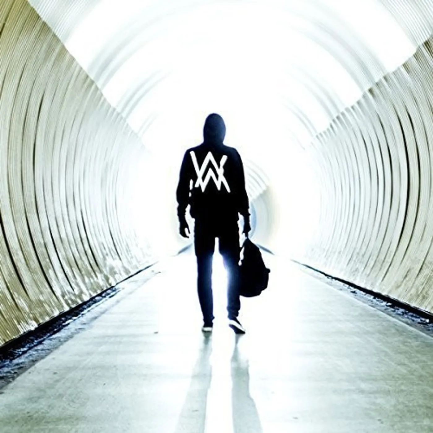 Alan Walker FADED (GER) Vinyl Record