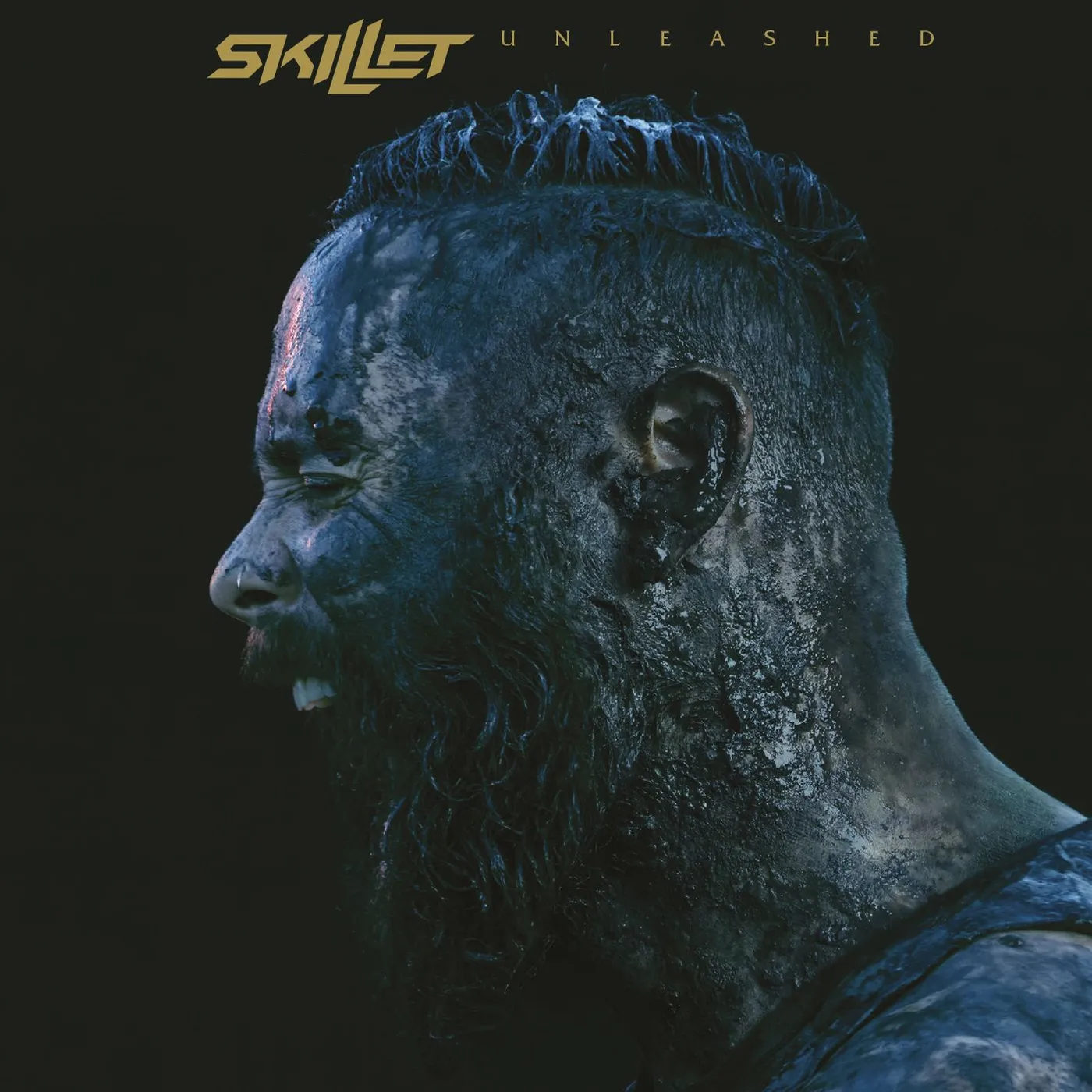 Skillet UNLEASHED CD