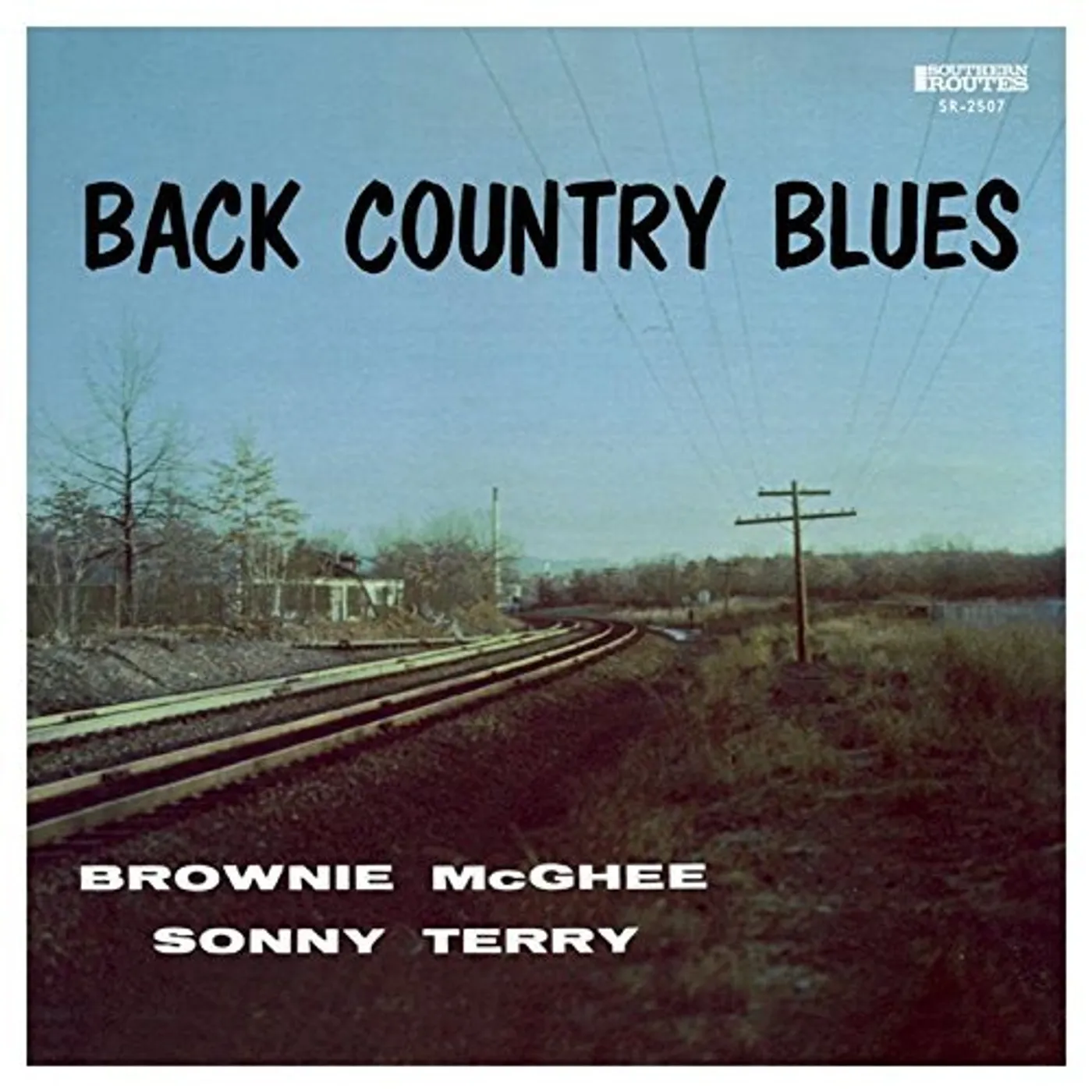 Brownie McGhee Back Country Blues Vinyl Record